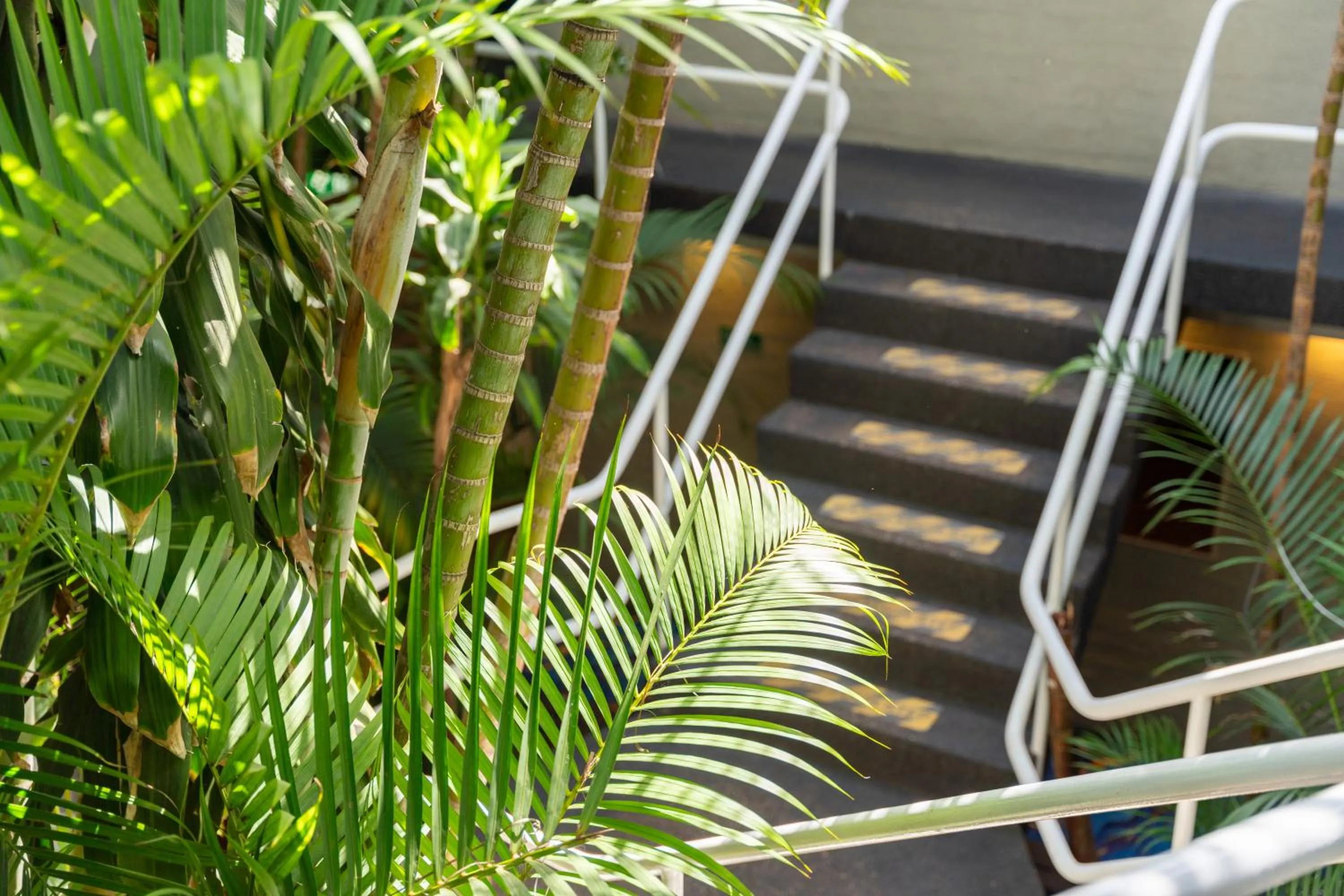 Property building in Bankstown Motel 10