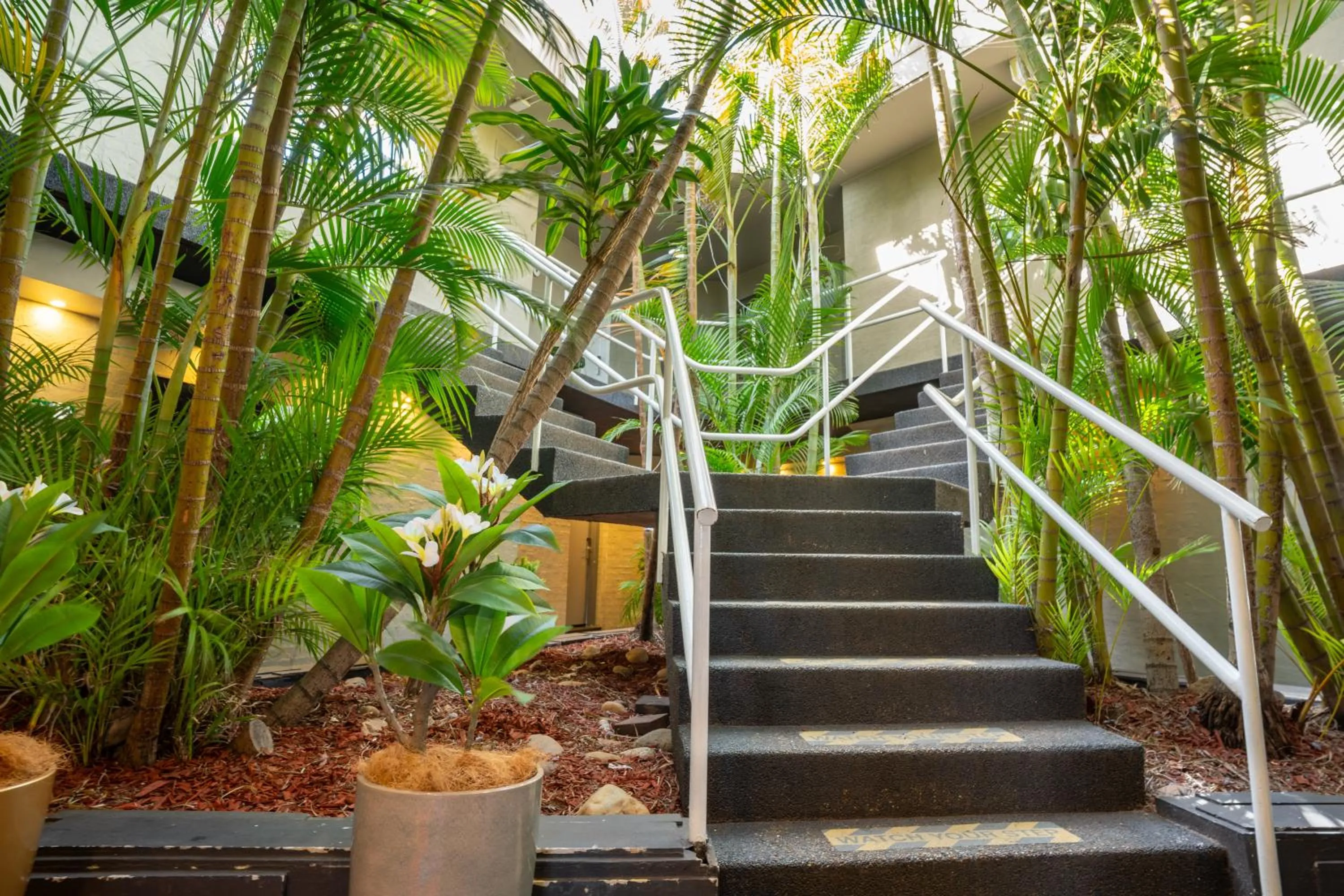 Natural landscape in Bankstown Motel 10