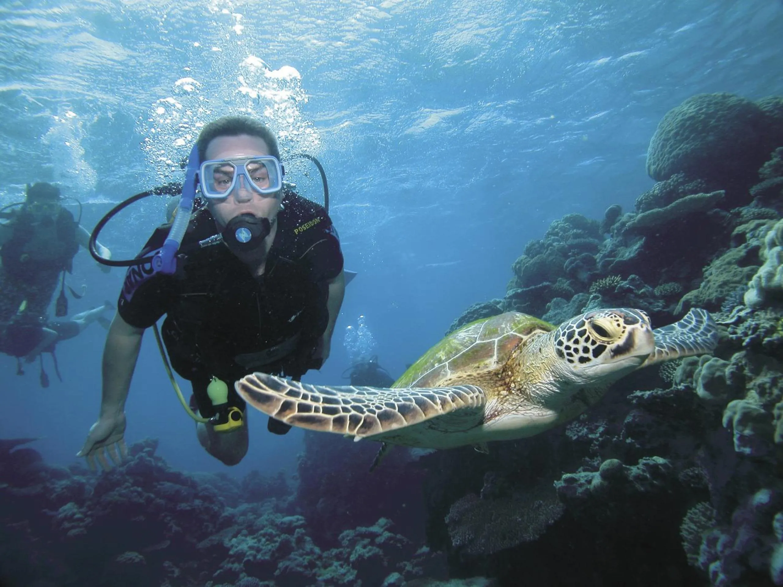 Snorkeling in Silkari Reflections of Port Douglas