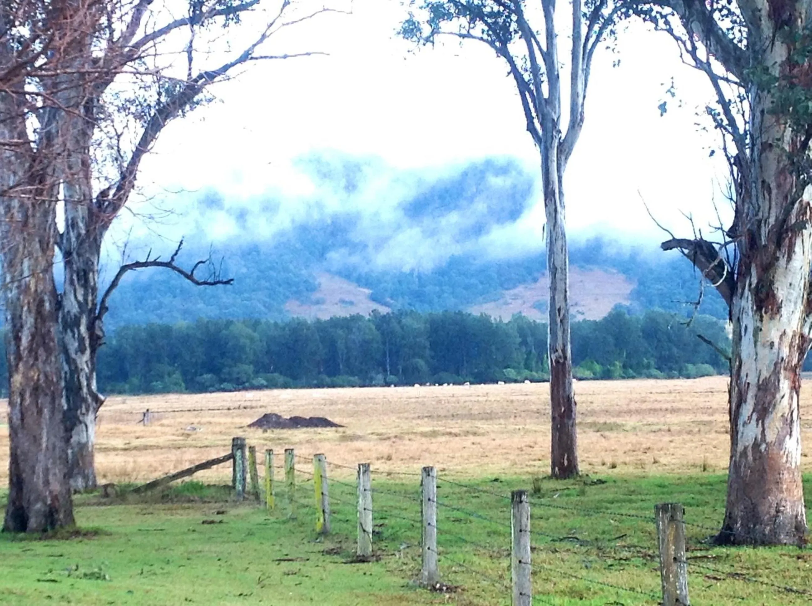 On site, Garden in Gloucester Country Lodge Motel