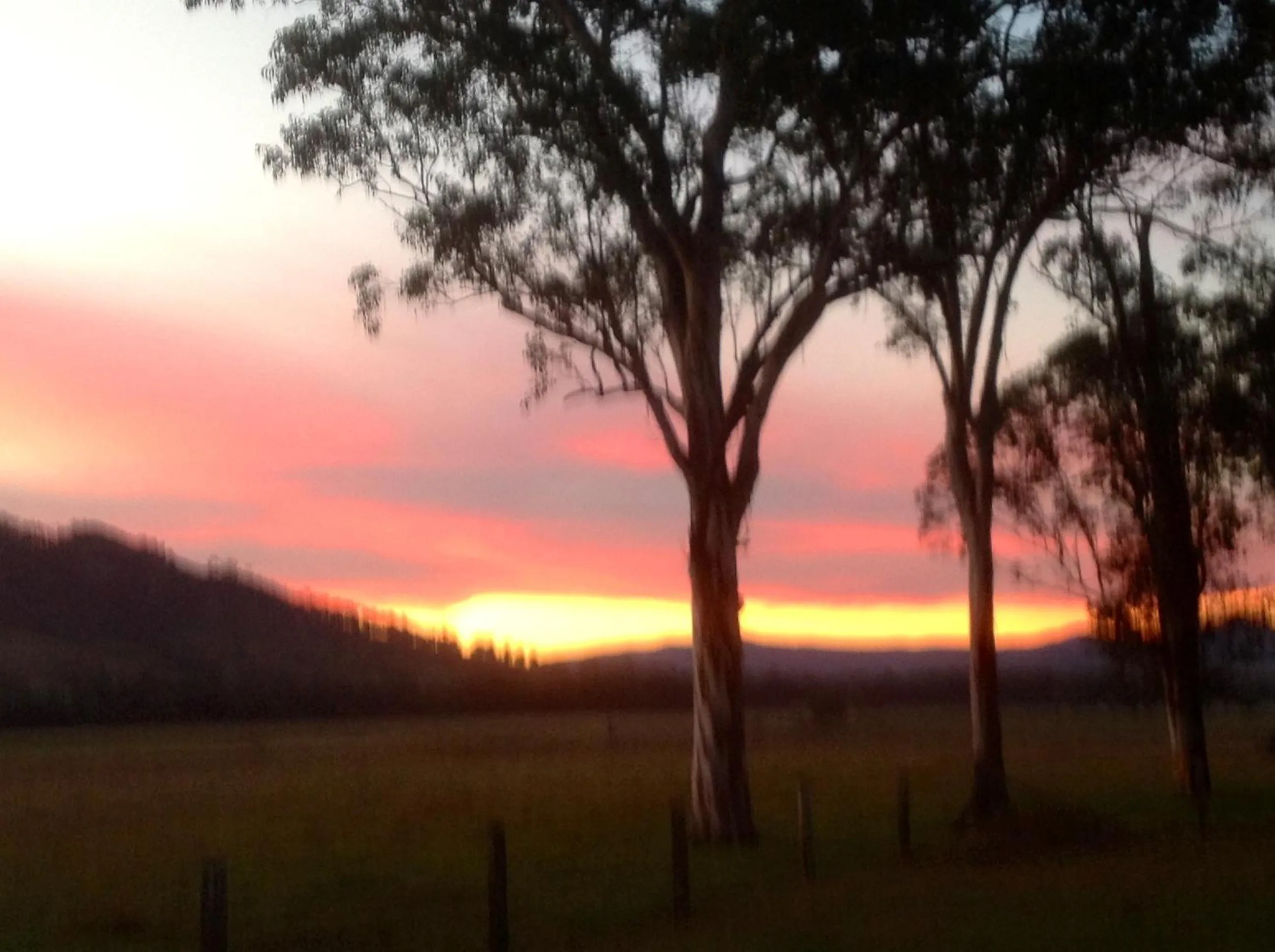 On site, Natural Landscape in Gloucester Country Lodge Motel