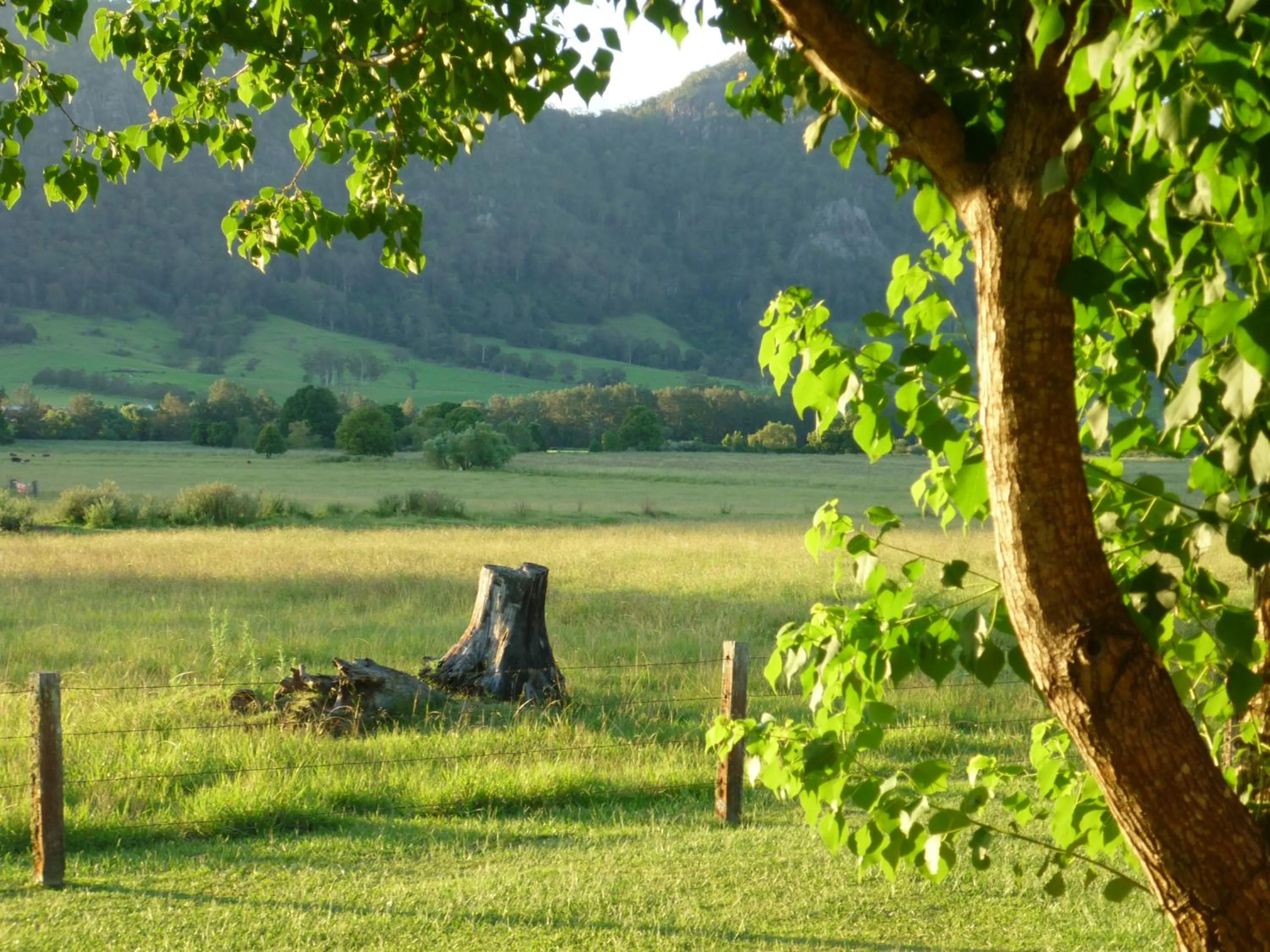 Patio, Garden in Gloucester Country Lodge Motel