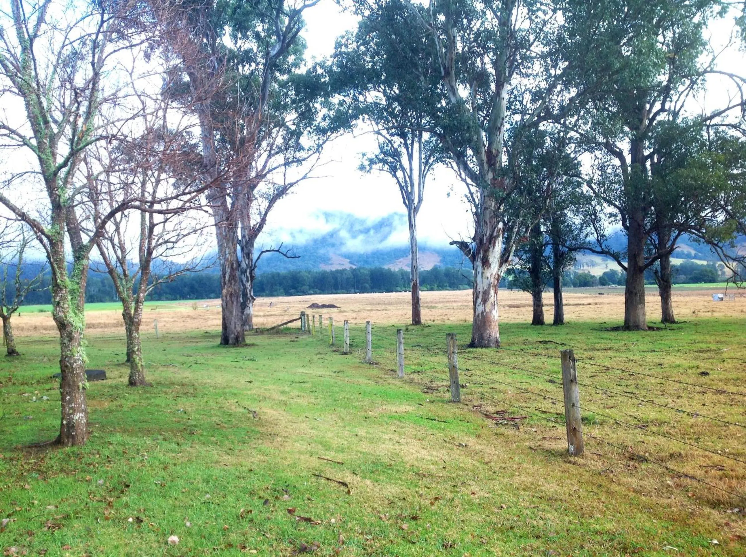 Natural landscape, Garden in Gloucester Country Lodge Motel