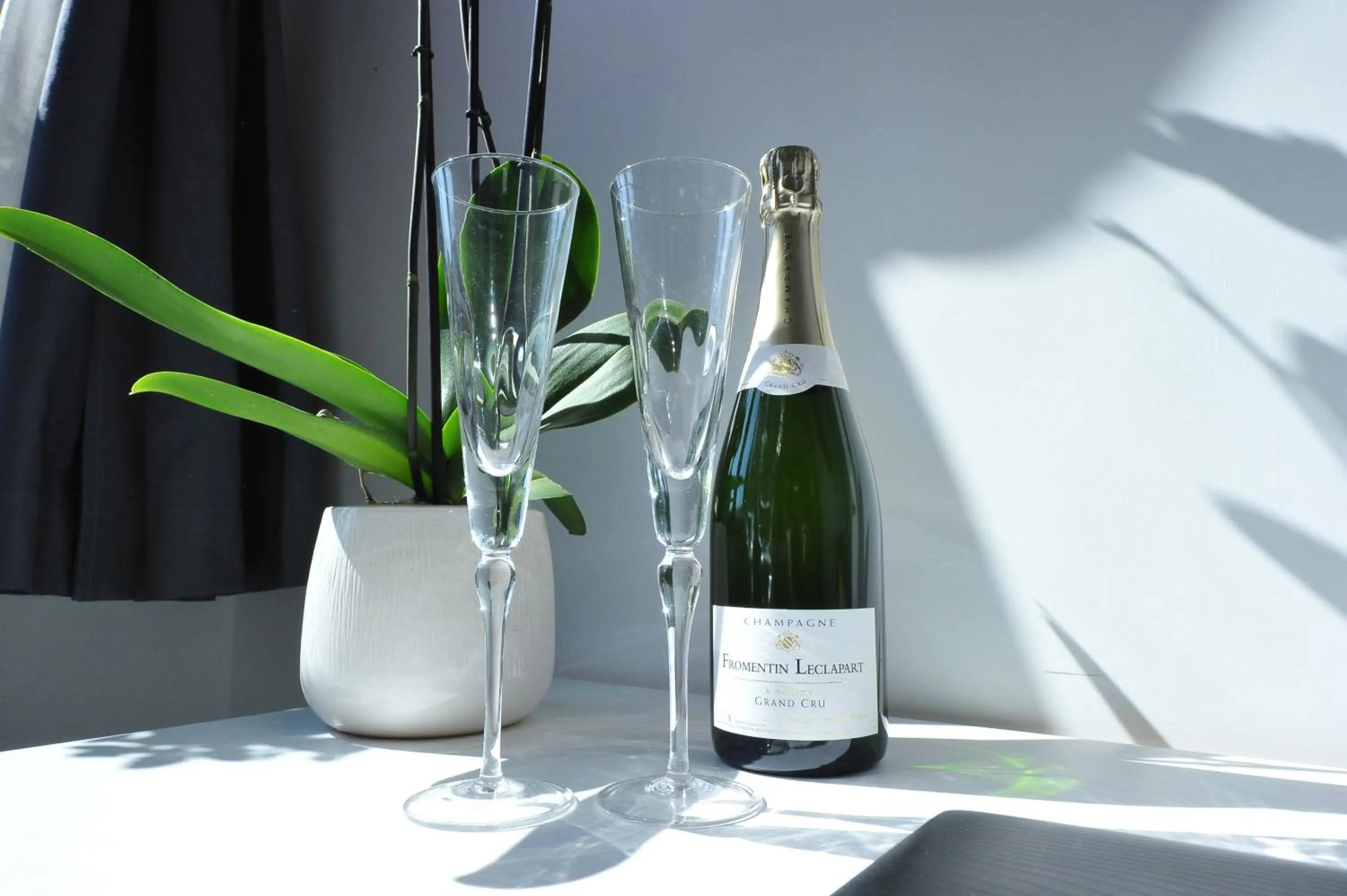 Drinks in SorrentoBay