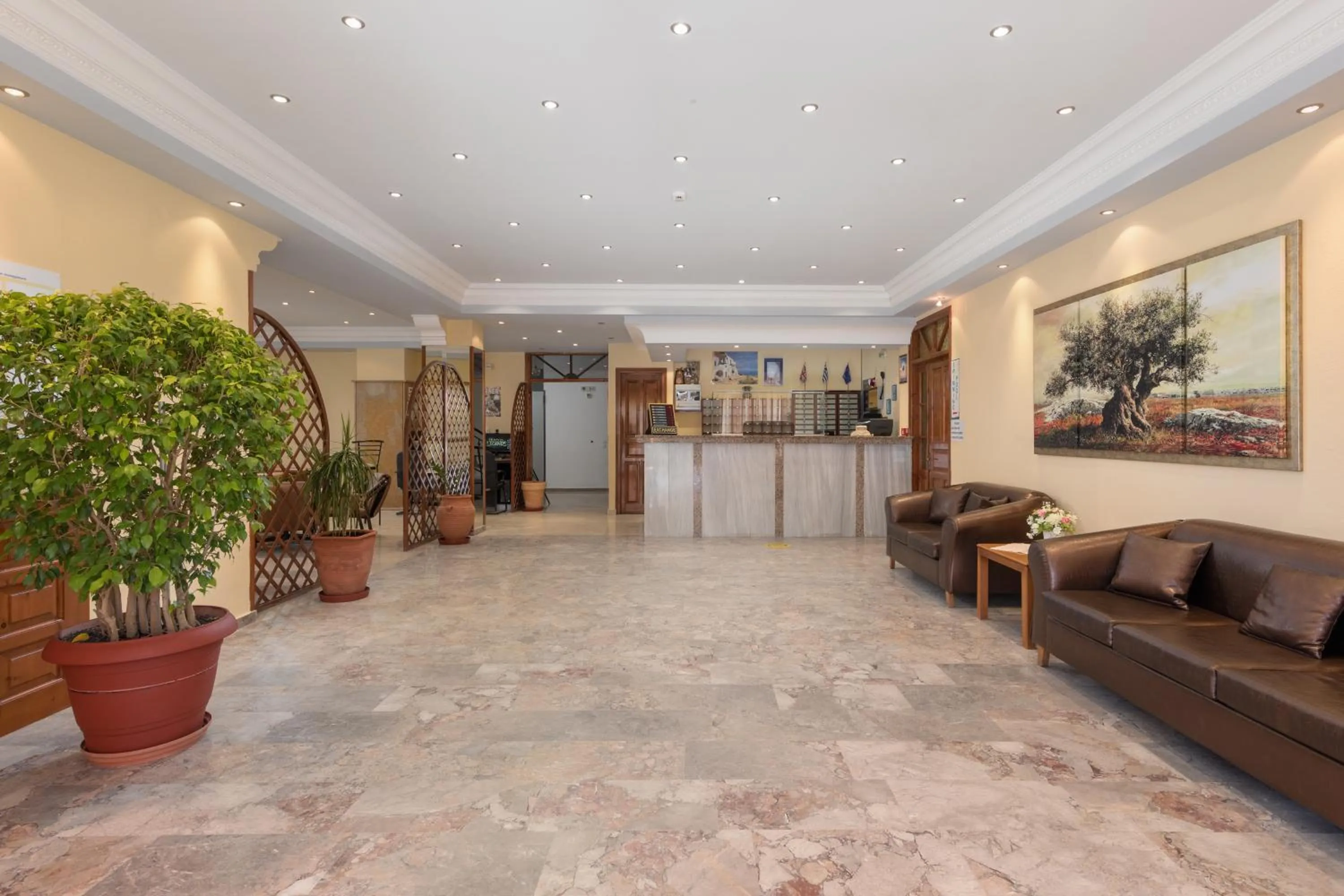 Lobby or reception in Lefkimi Hotel