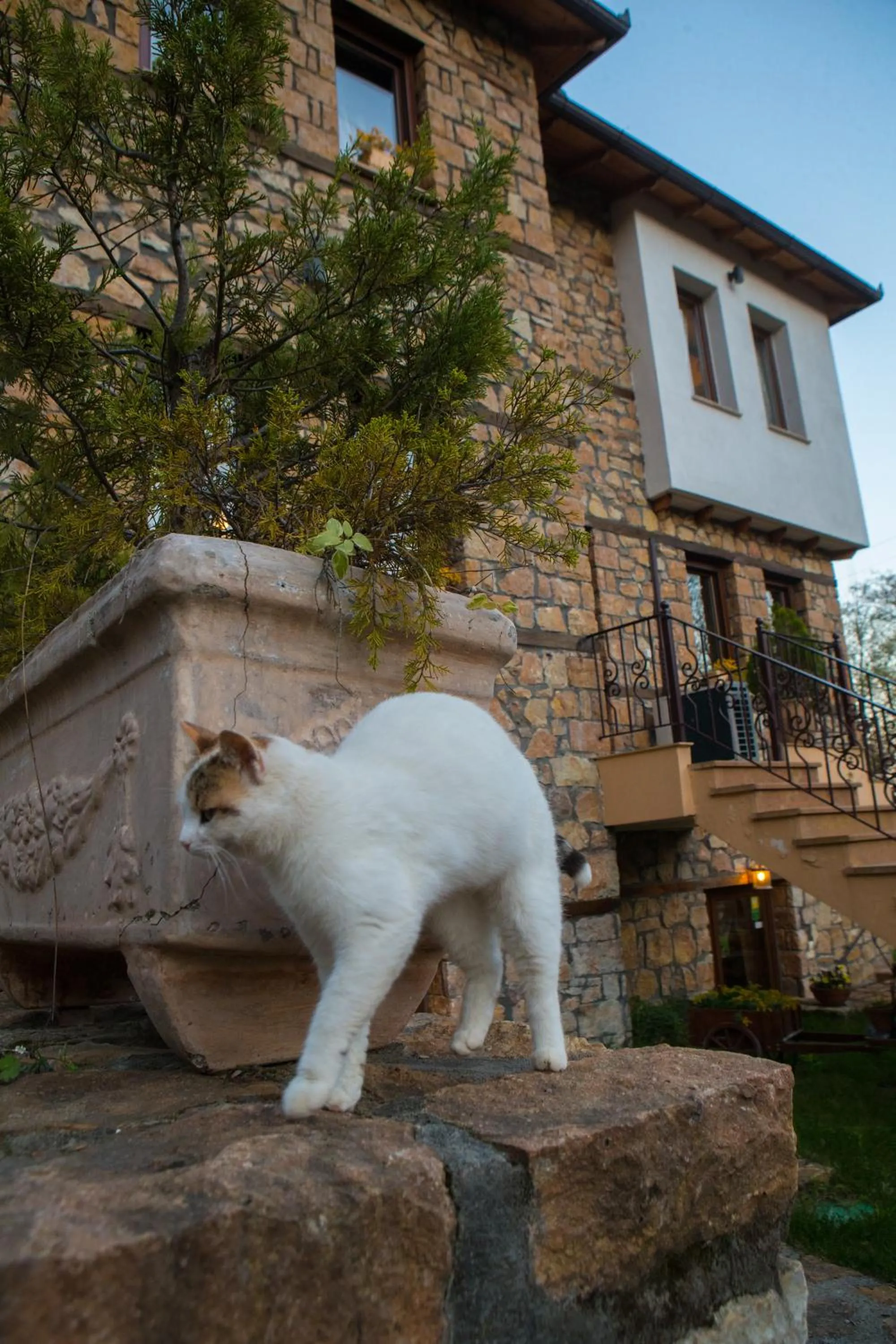 Spring in Archontiko Emmanouilidi Suites