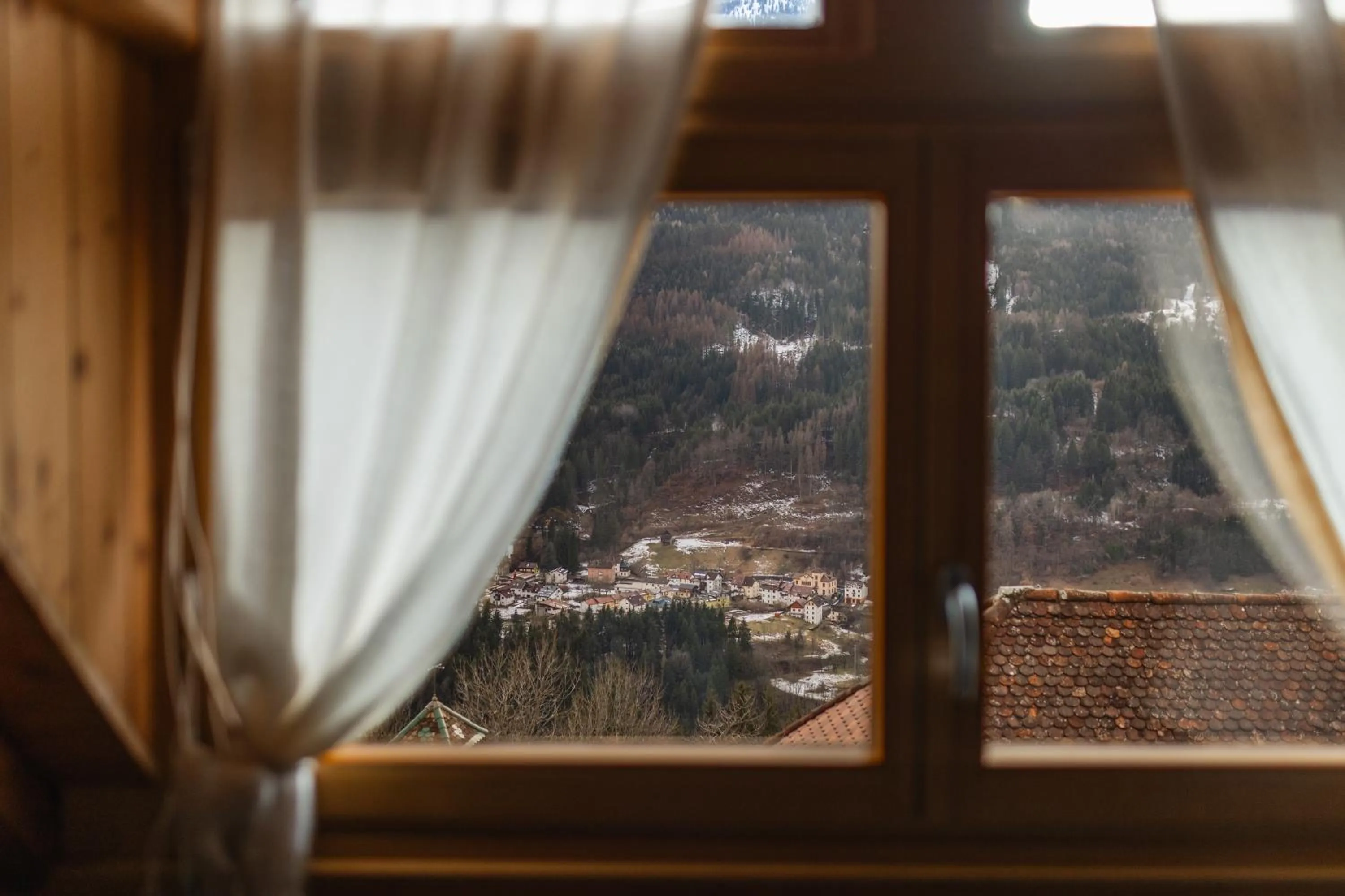 View (from property/room) in Albergo Diffuso Comeglians