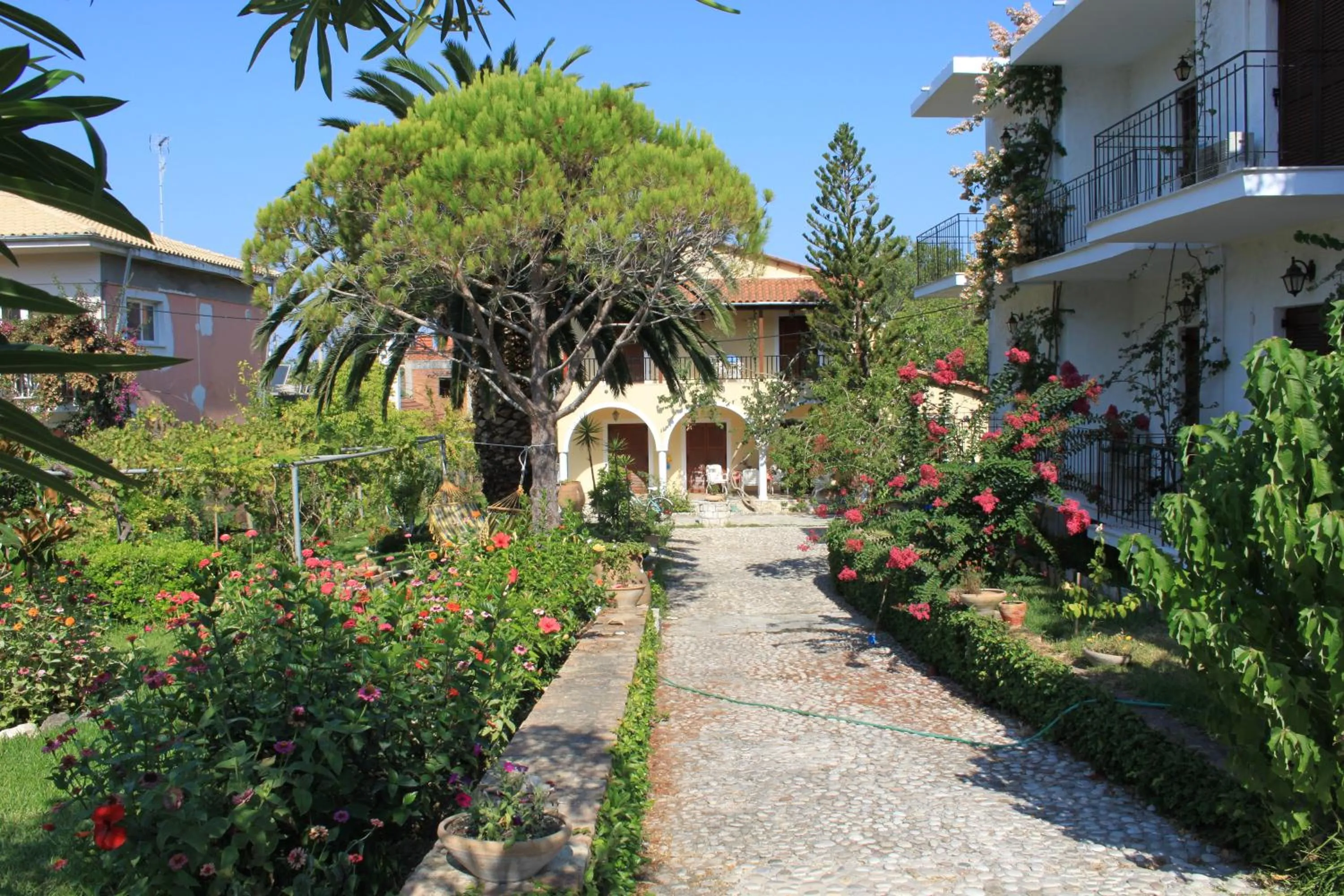 Garden view in Arillas Studios