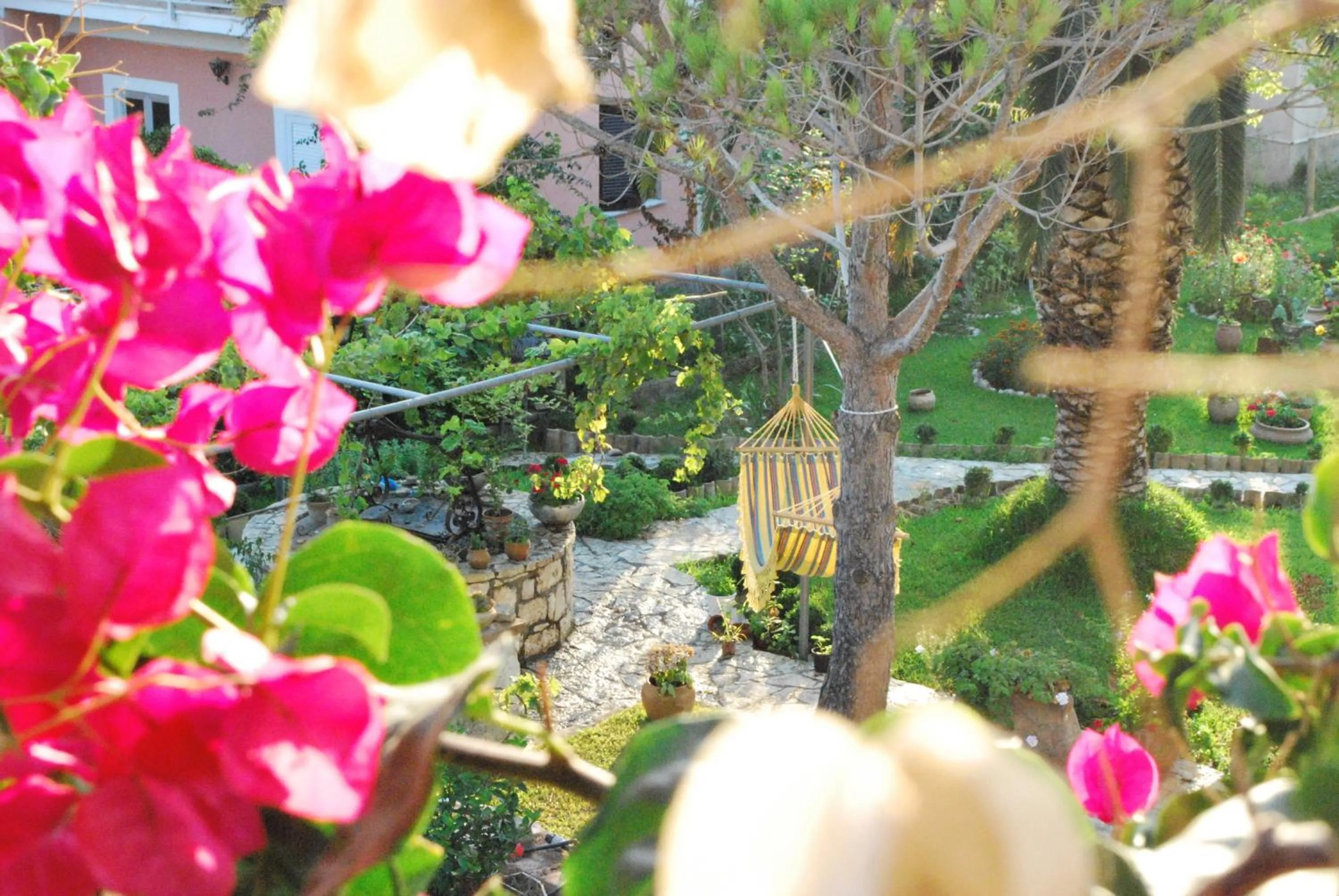 Garden view in Arillas Studios