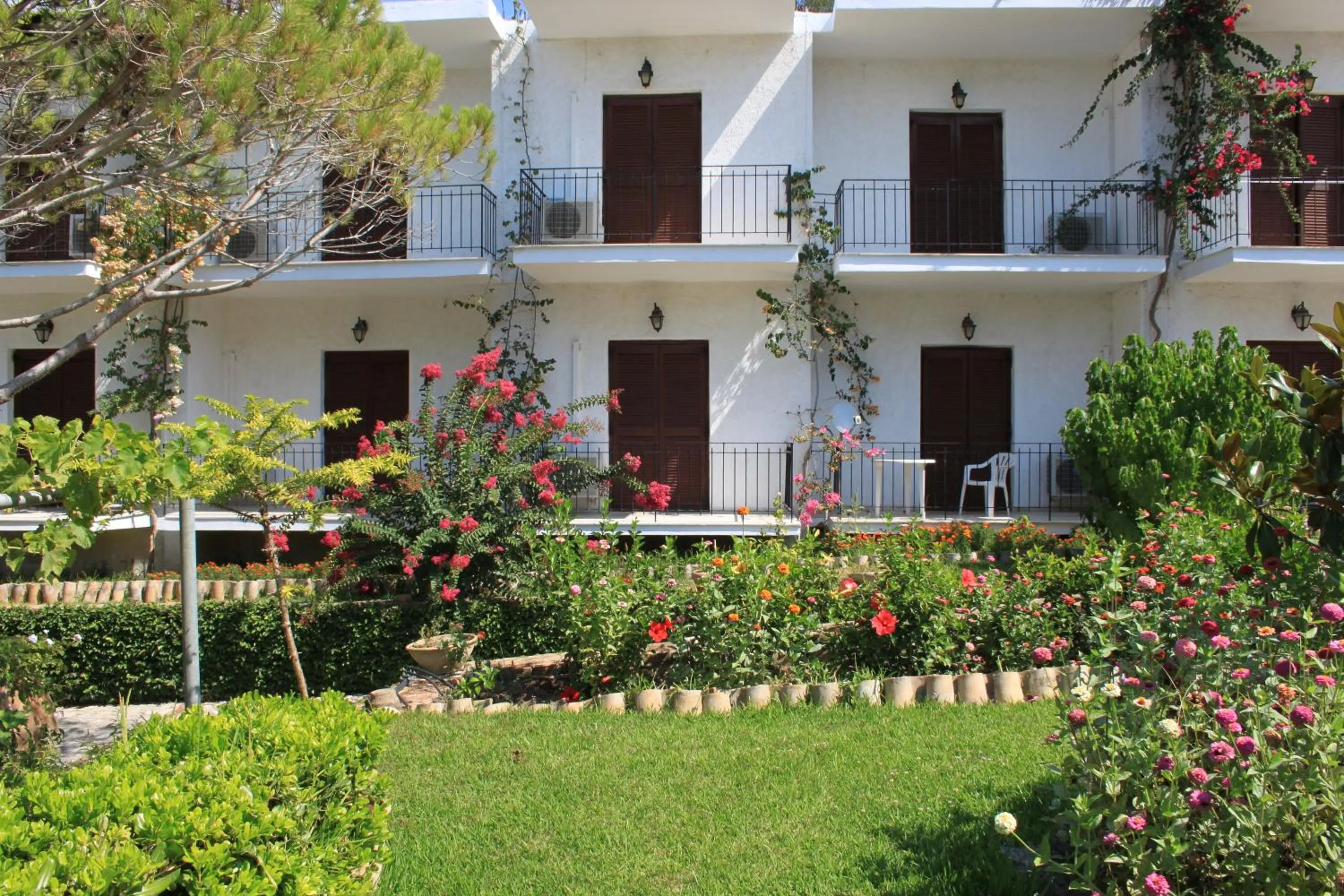 Garden in Arillas Studios