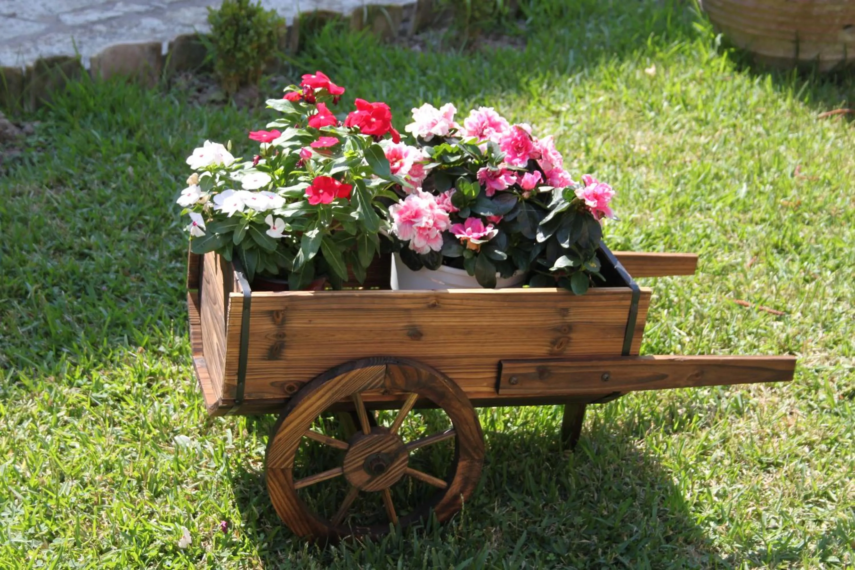 Garden in Arillas Studios