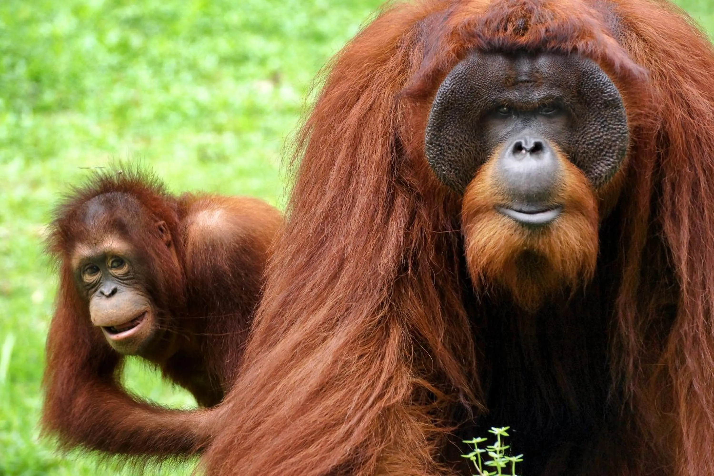 A'Famosa Resort Melaka