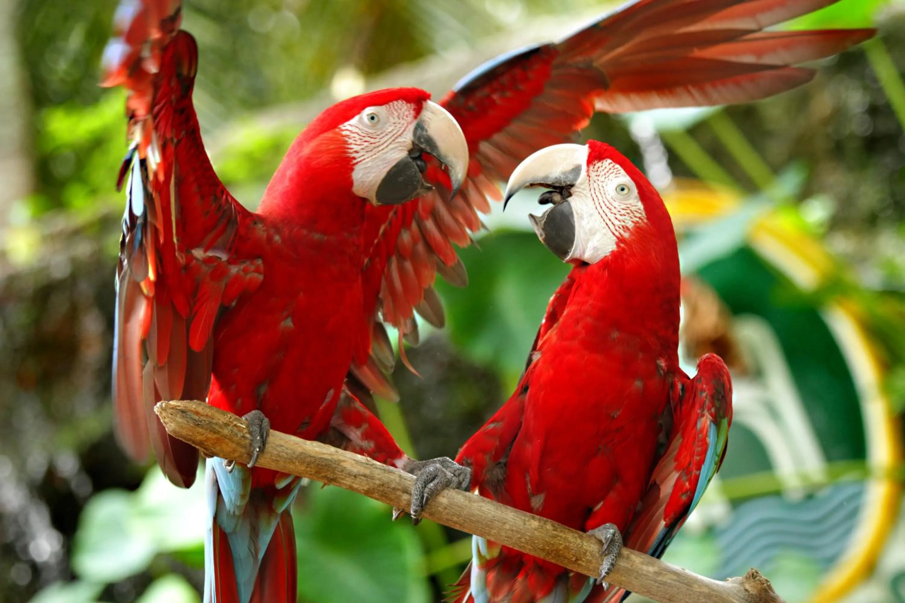 A'Famosa Resort Melaka