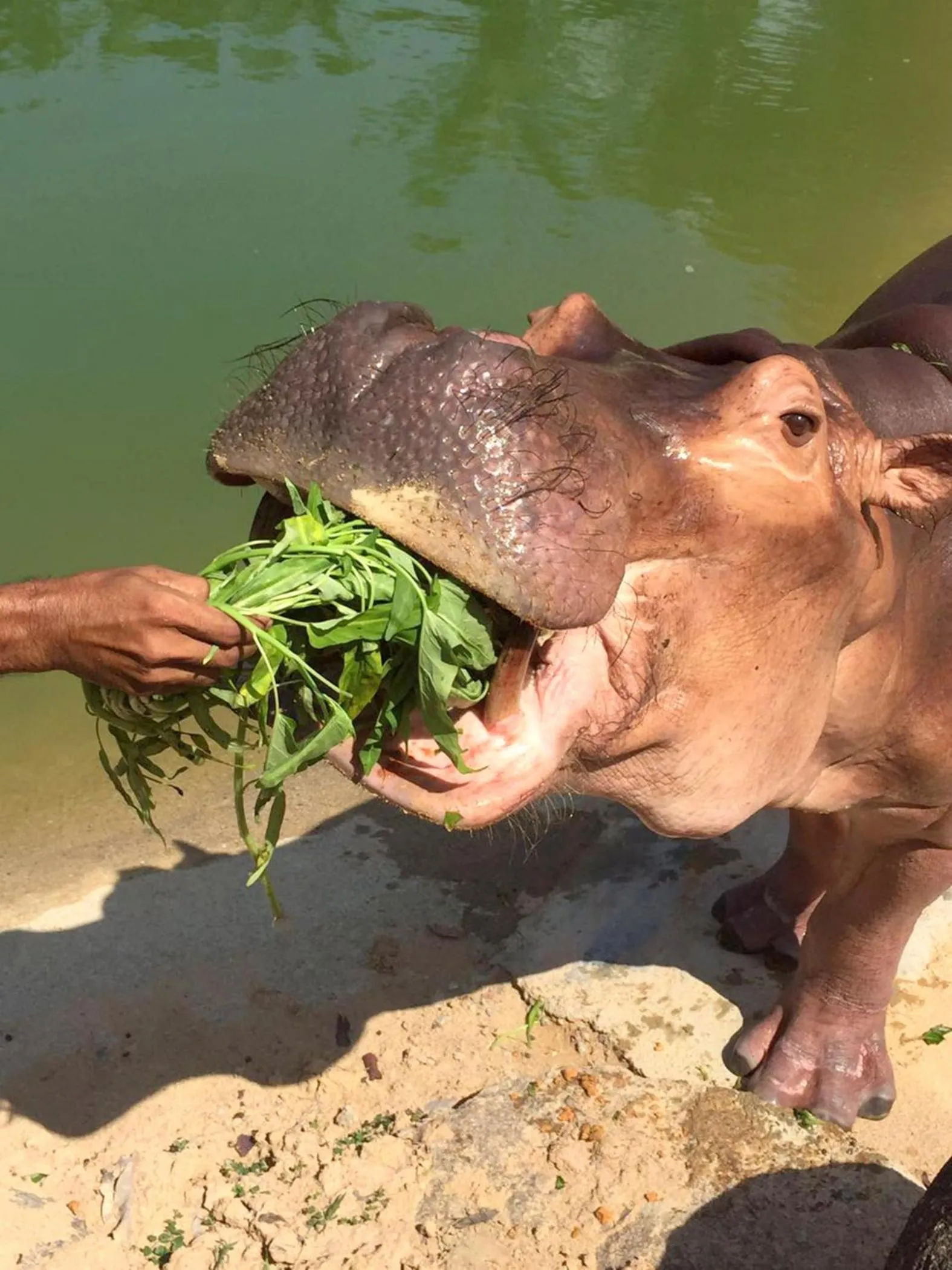 A'Famosa Resort Melaka