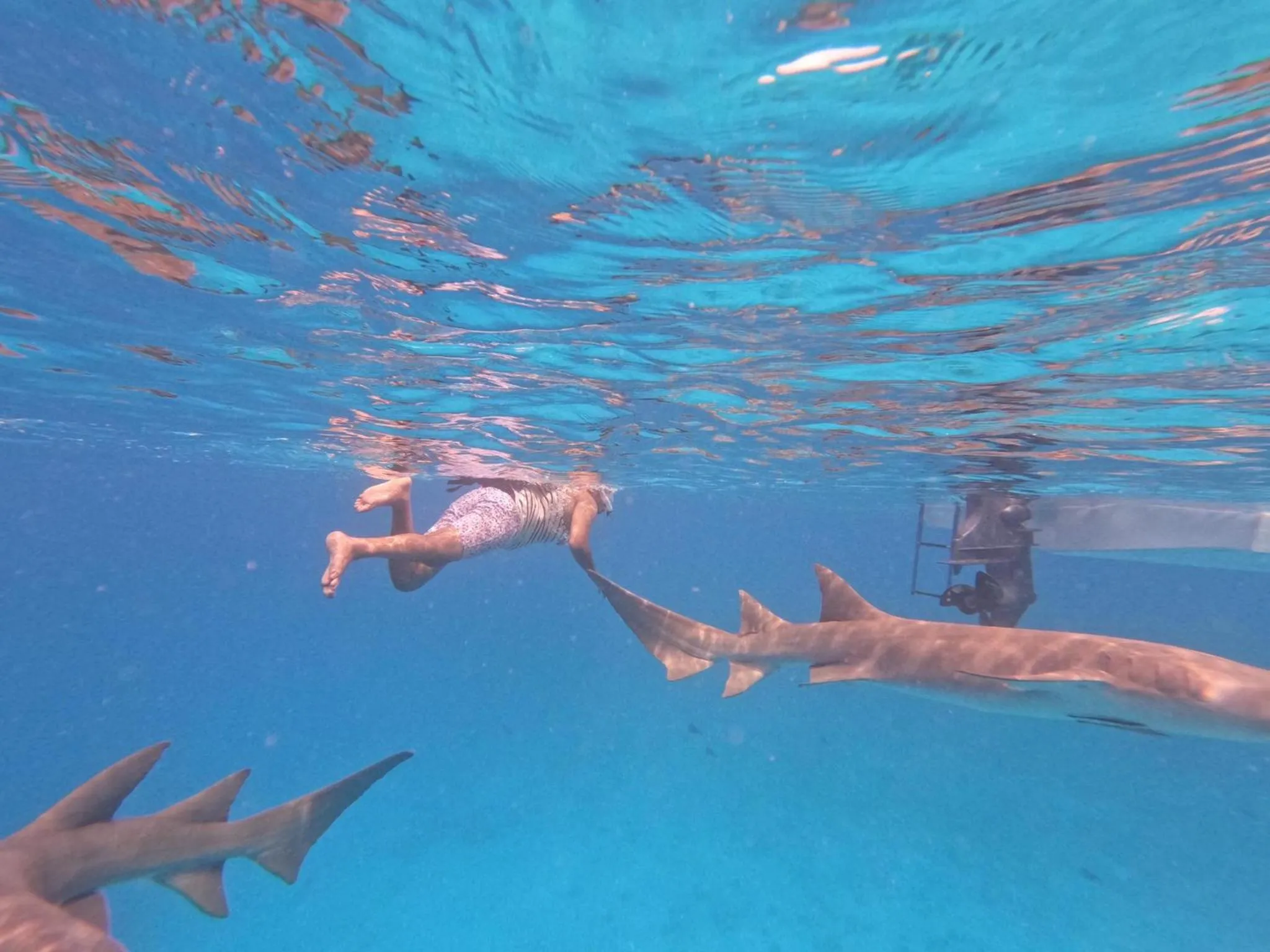 People in Galaxy Sunrise Sea View