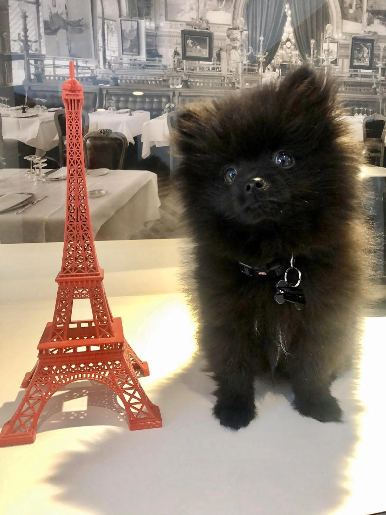 Property building in Hôtel Gustave Colmar