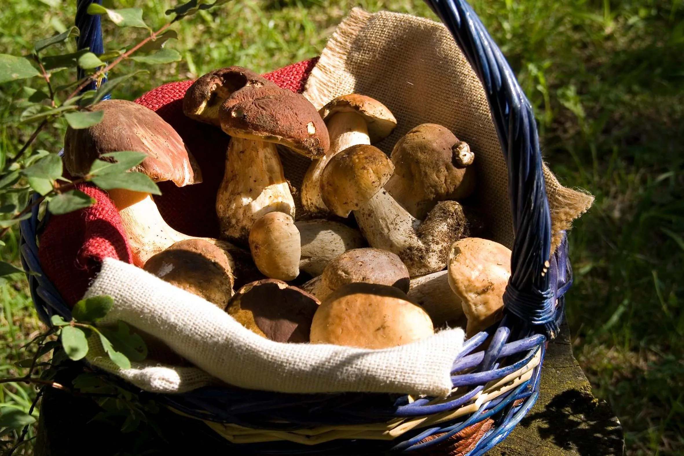 Other in Hotel La Villa