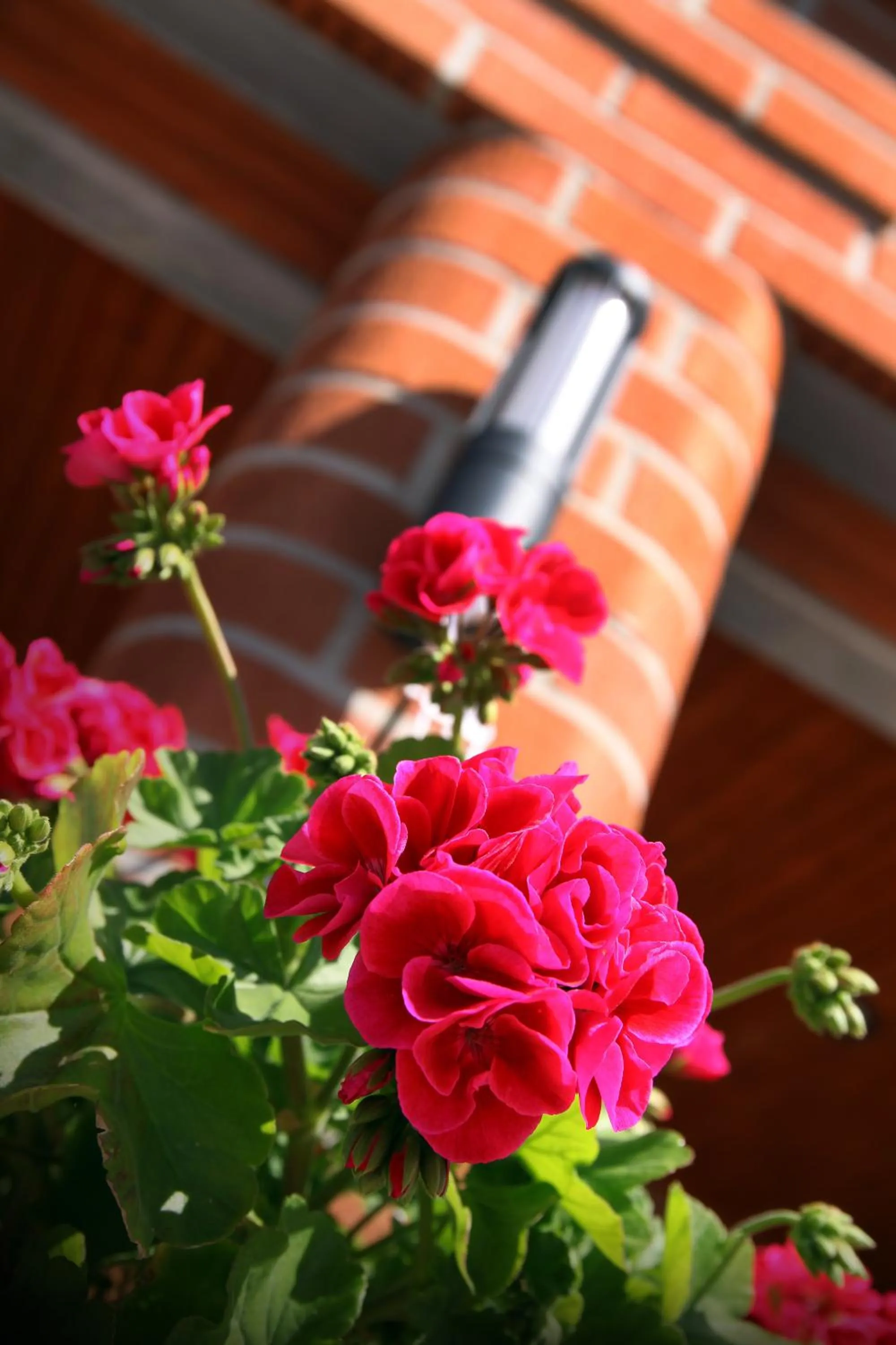 Summer in Hotel Vallonia