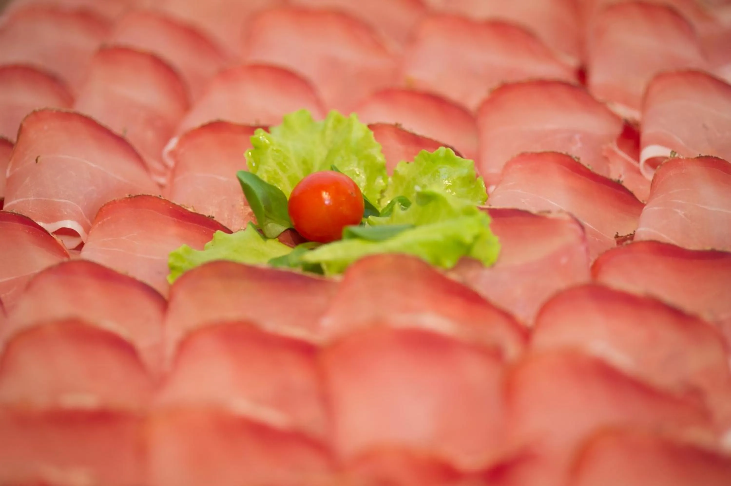 Food close-up in Panorama