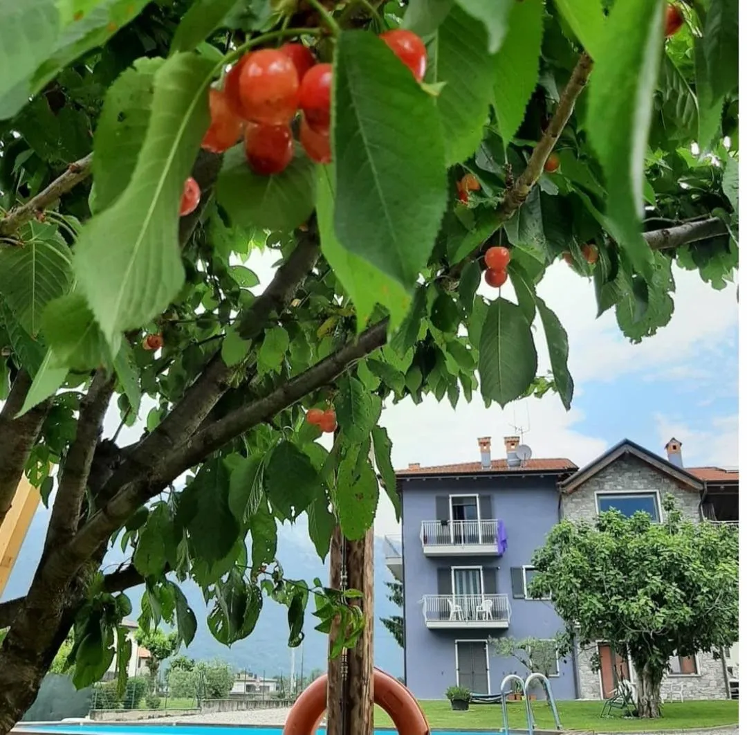 Property building in B&B Zia Vivina