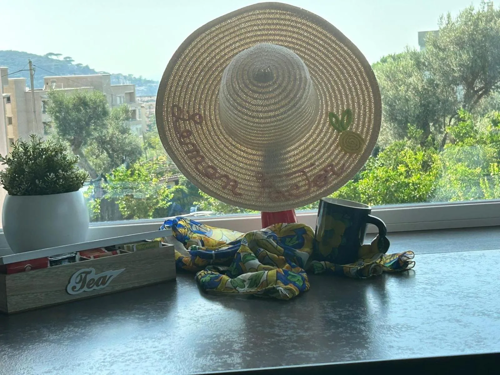 Swimming pool in Lemon Factor Sorrento