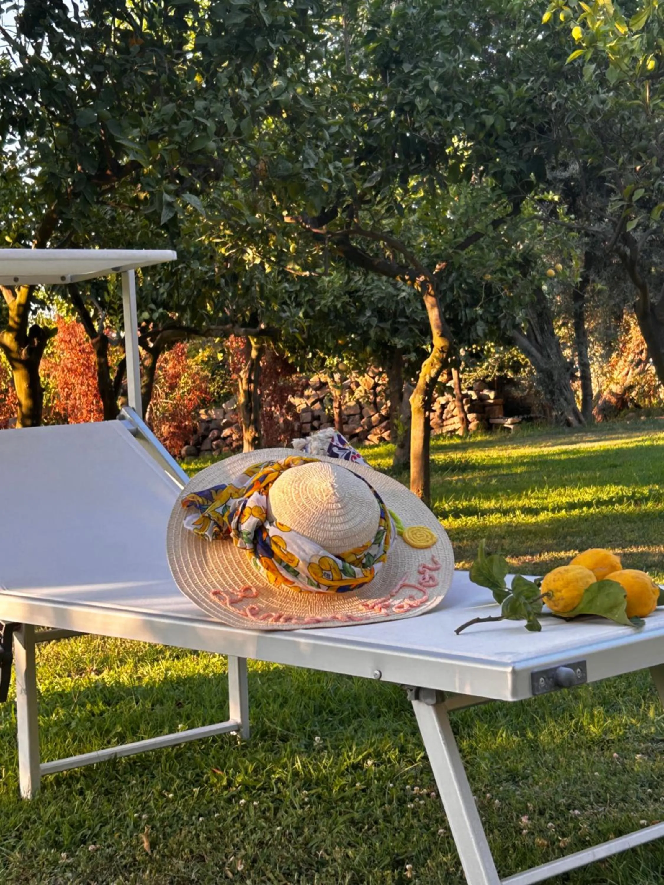 Garden in Lemon Factor Sorrento