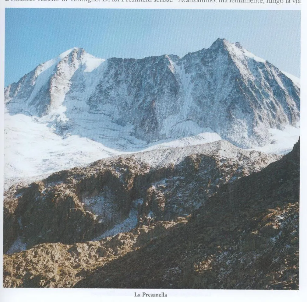 Natural landscape in Hotel Orchidea