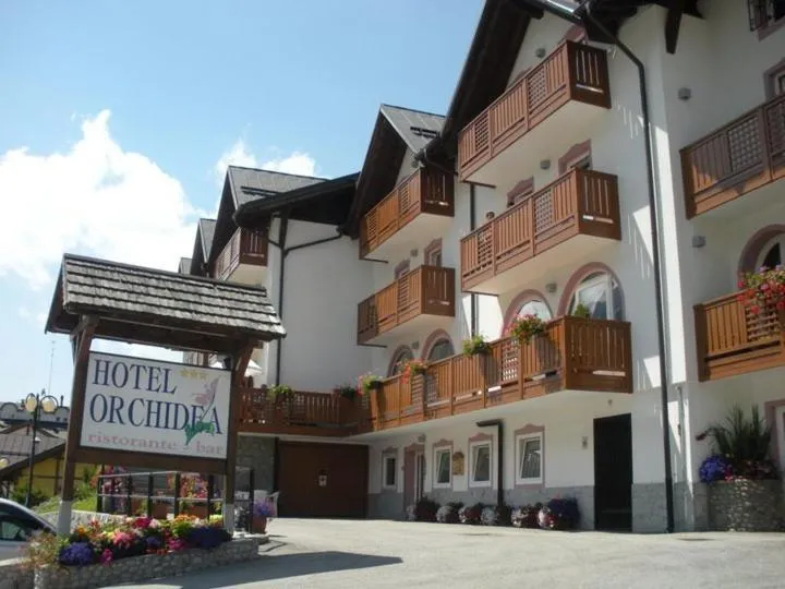 Property building in Hotel Orchidea
