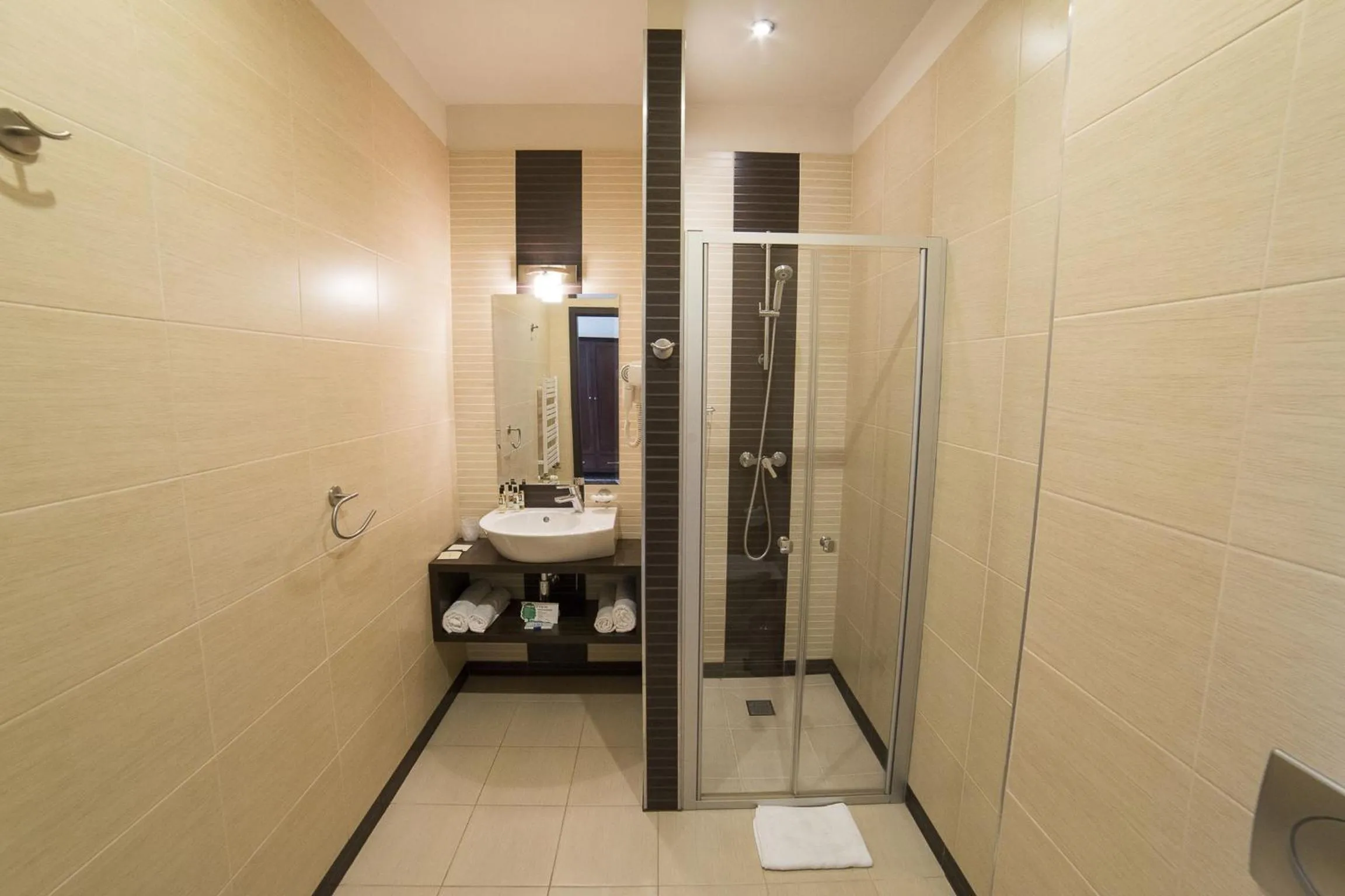 Bathroom in Hotel Starka