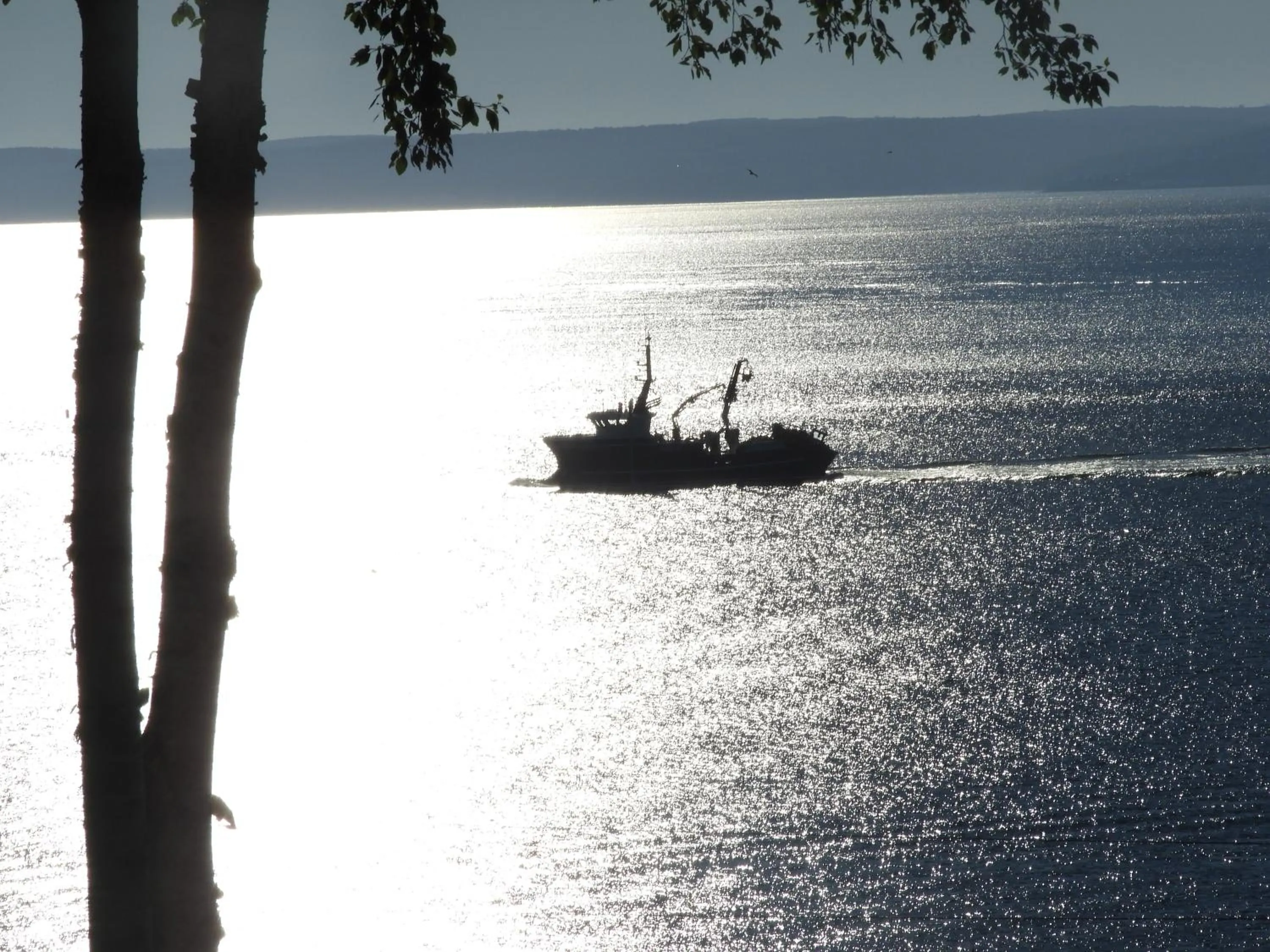 Sea view in Admiral Digby Inn Restaurant and Cottages