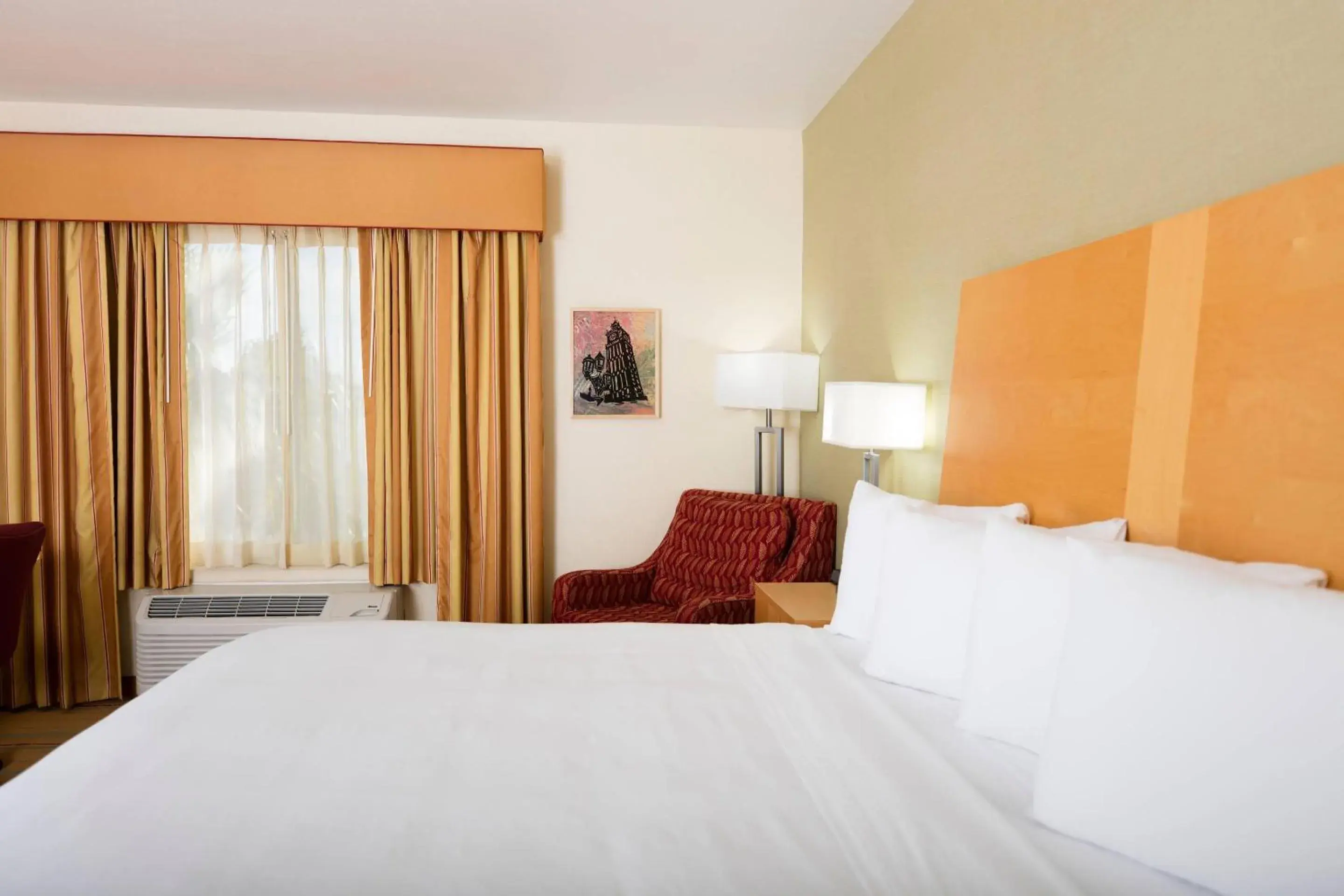 King Room in Radisson Hotel Yuma King Room in Radisson Hotel Yuma