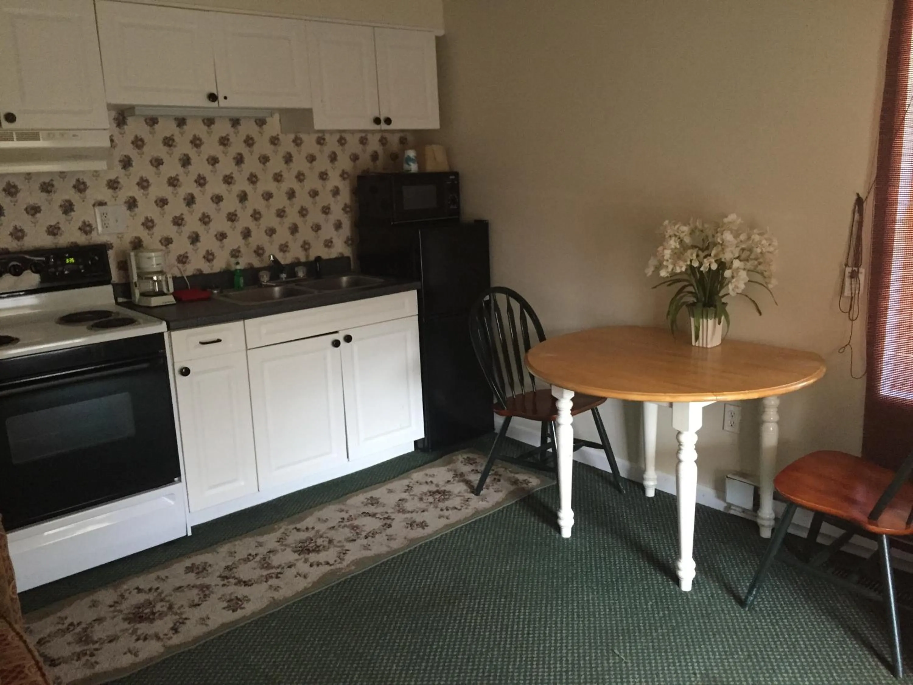 Kitchen or kitchenette in Highland Hills Motel & Cabins