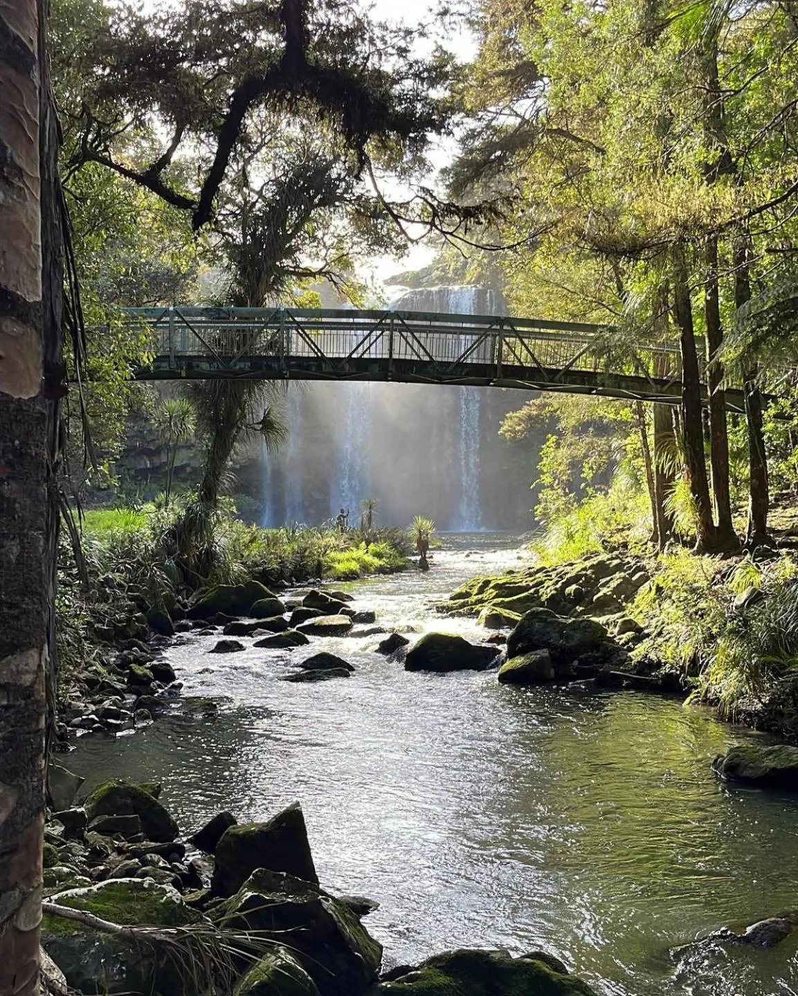 BK's Pohutukawa Lodge