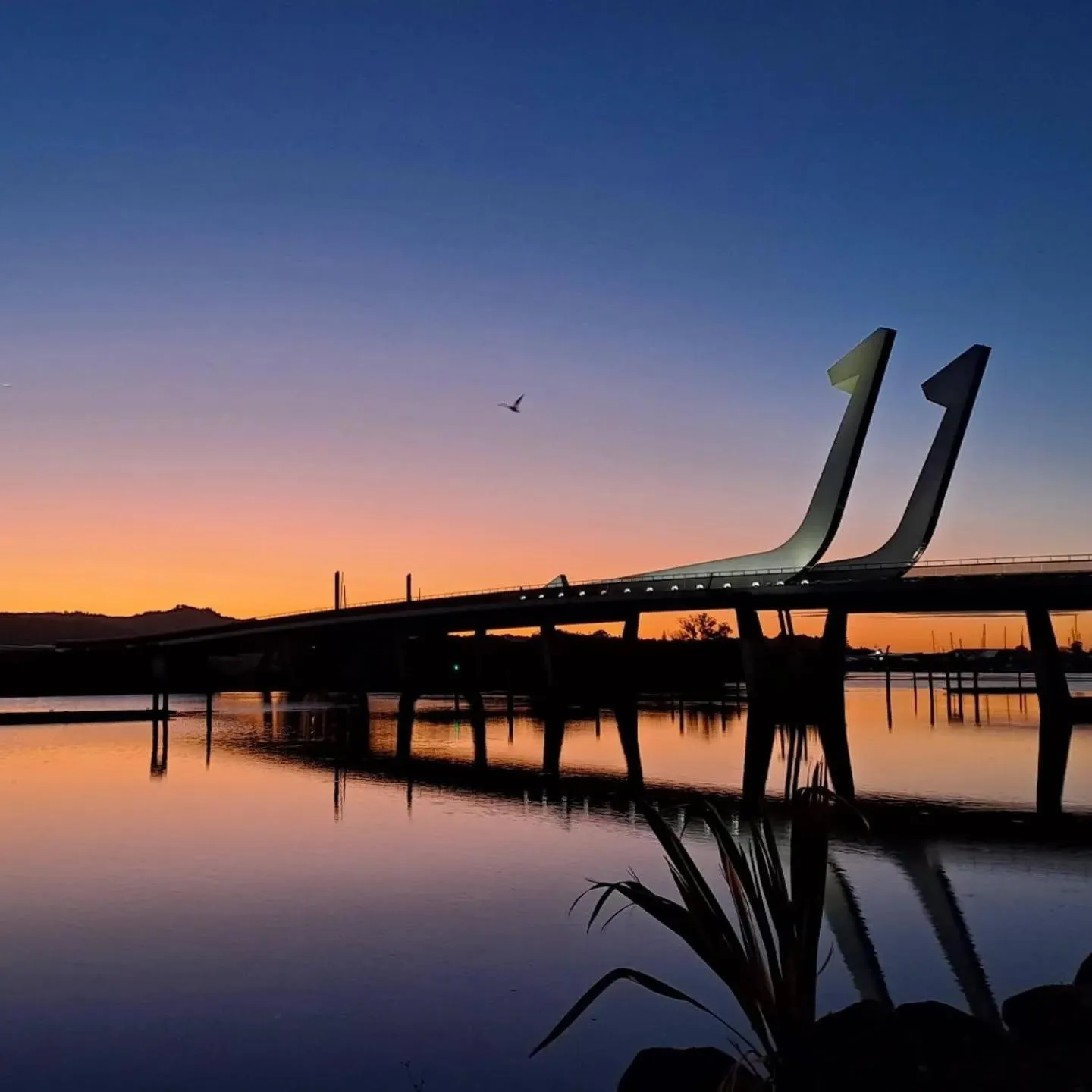 BK's Pohutukawa Lodge