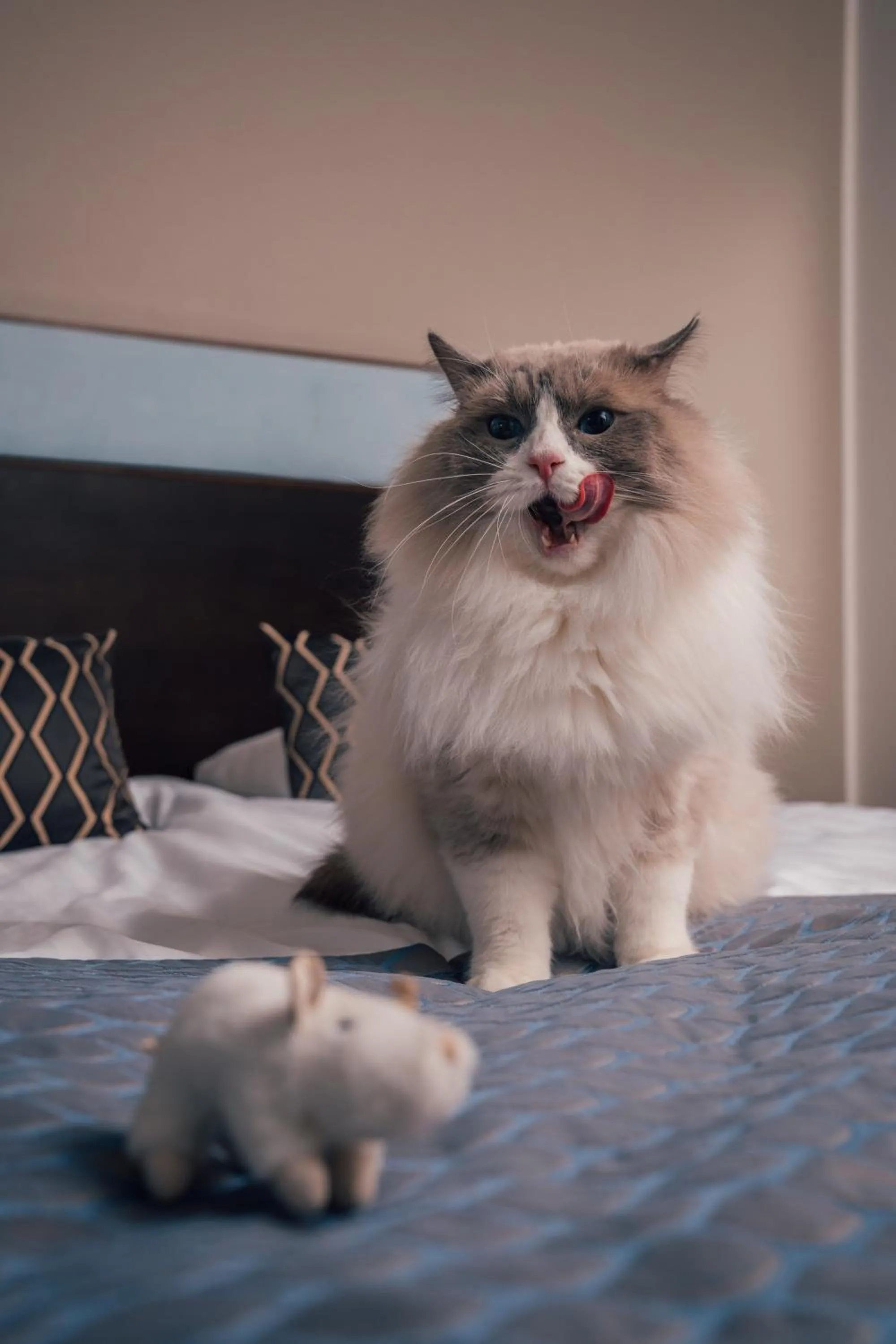 Bedroom in Hotel Haikko Manor & Spa