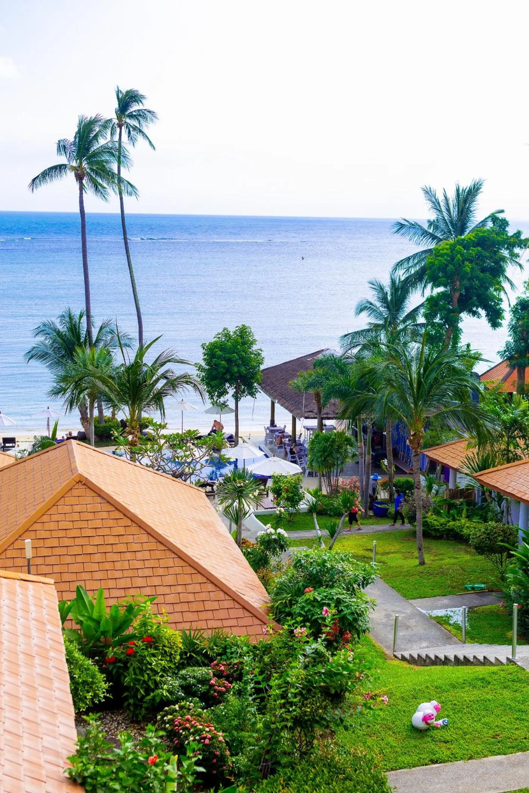 Bird's eye view in Palm Coco Mantra