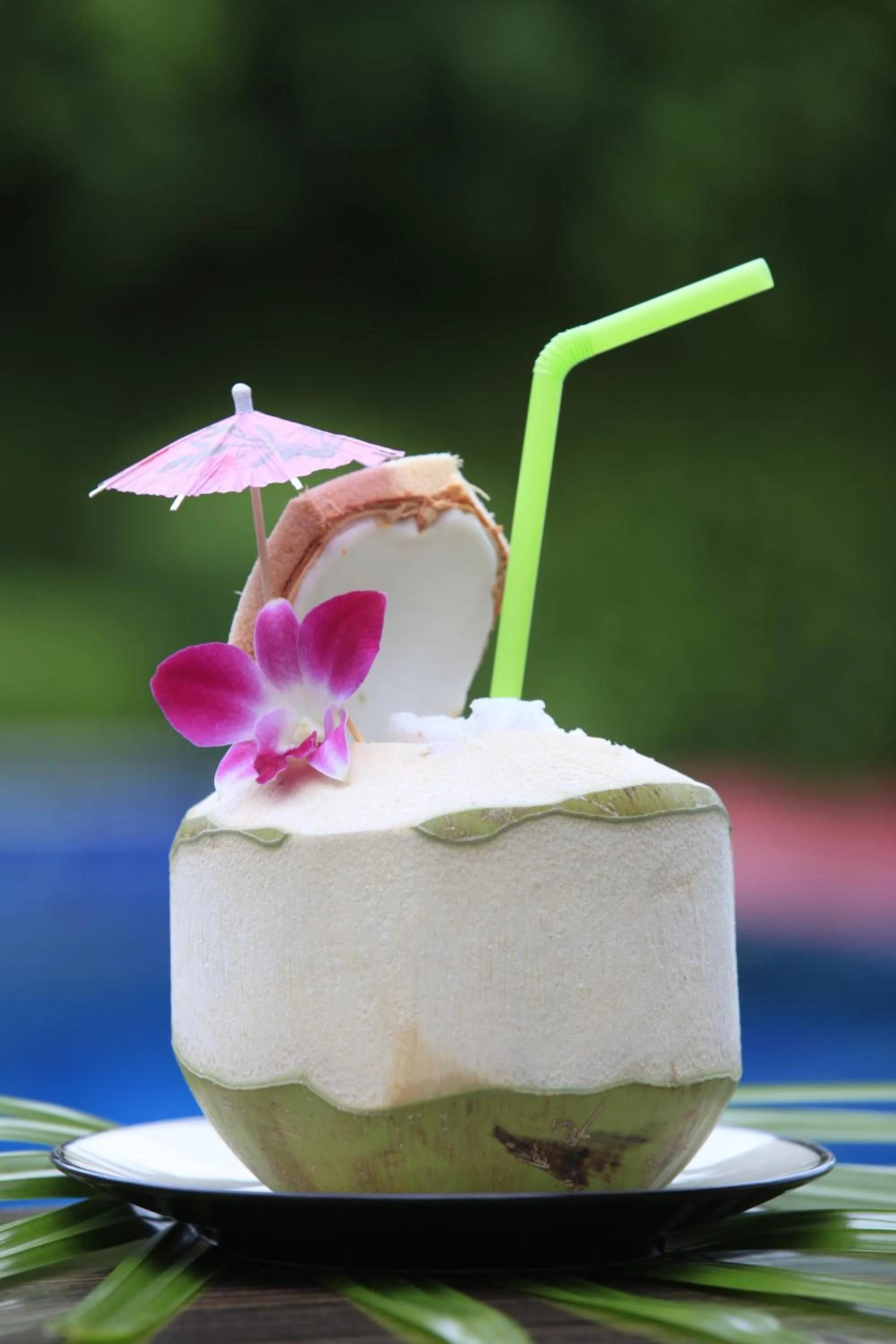 Non alcoholic drinks in Palm Coco Mantra