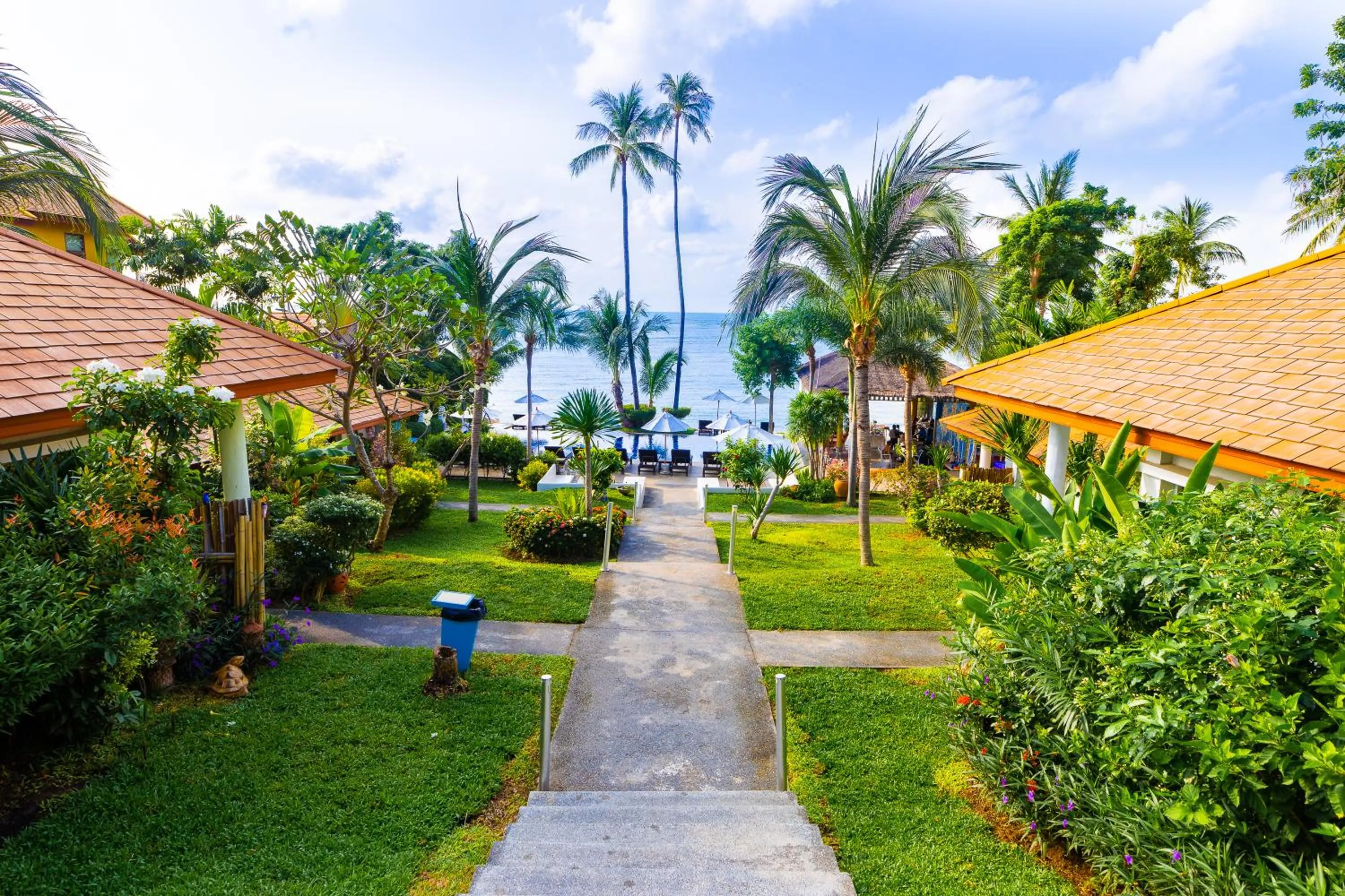 Natural landscape in Palm Coco Mantra