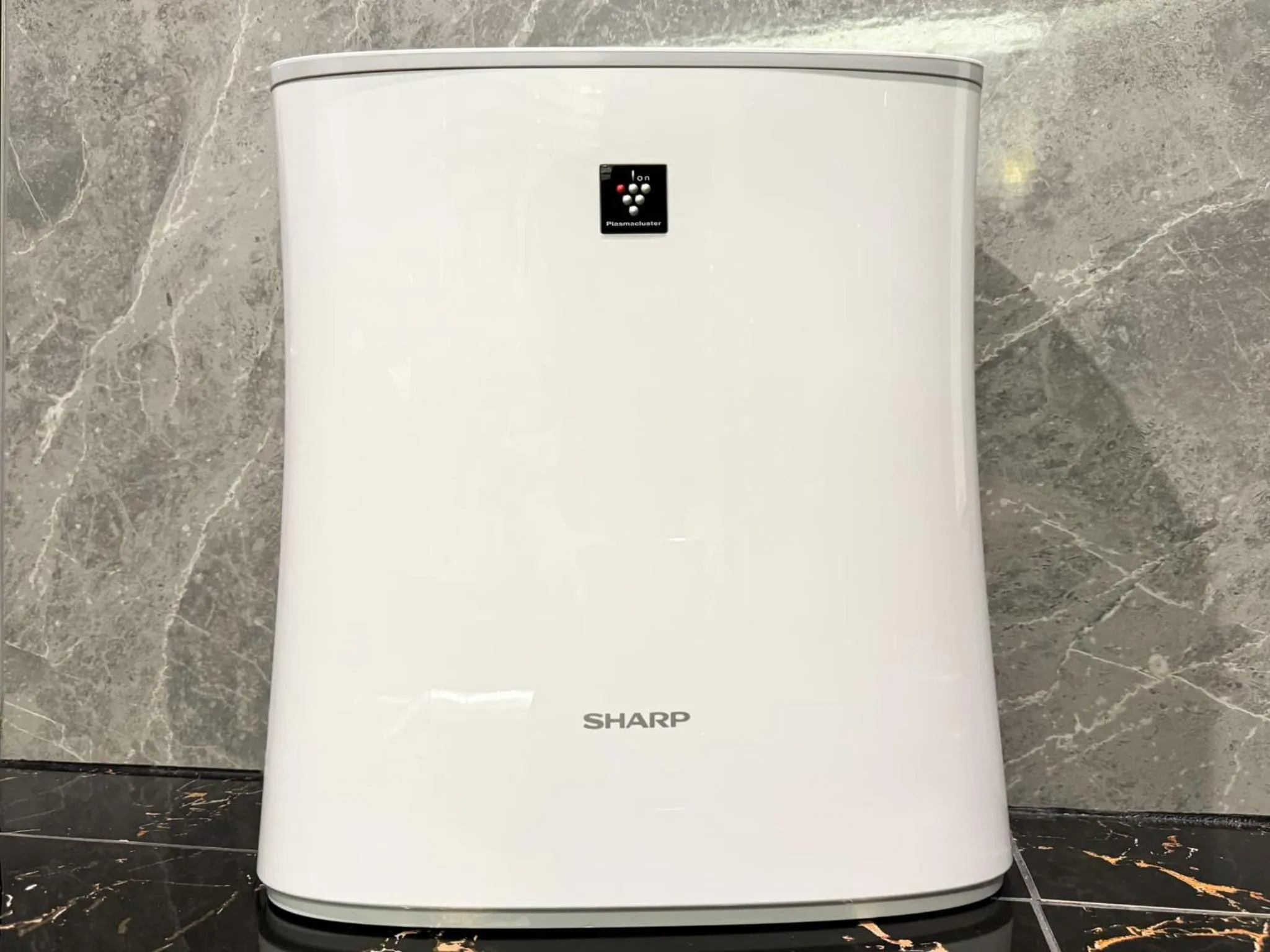 Photo of the whole room in Hotel Rocks