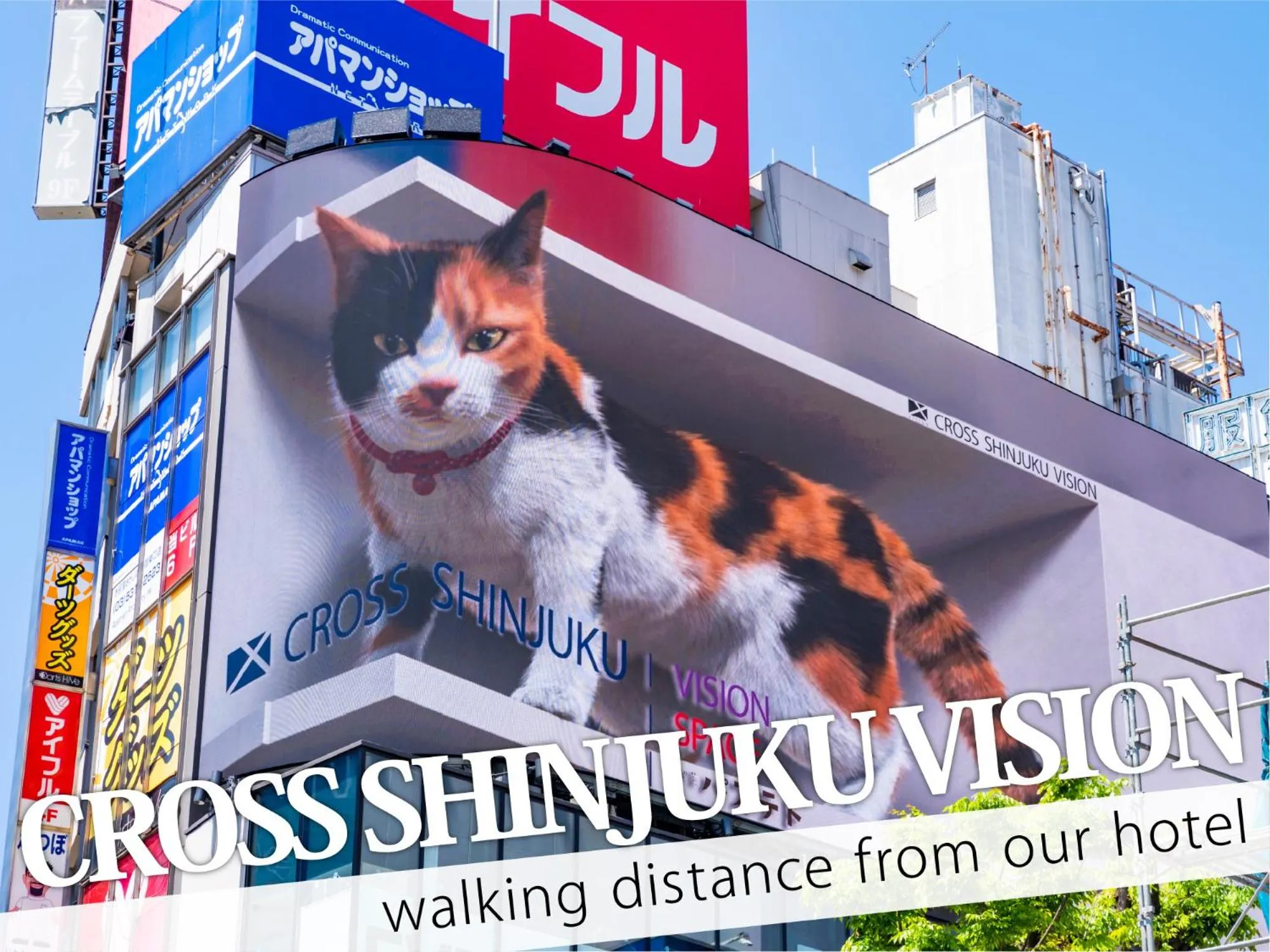 Nearby landmark in Hotel Rocks