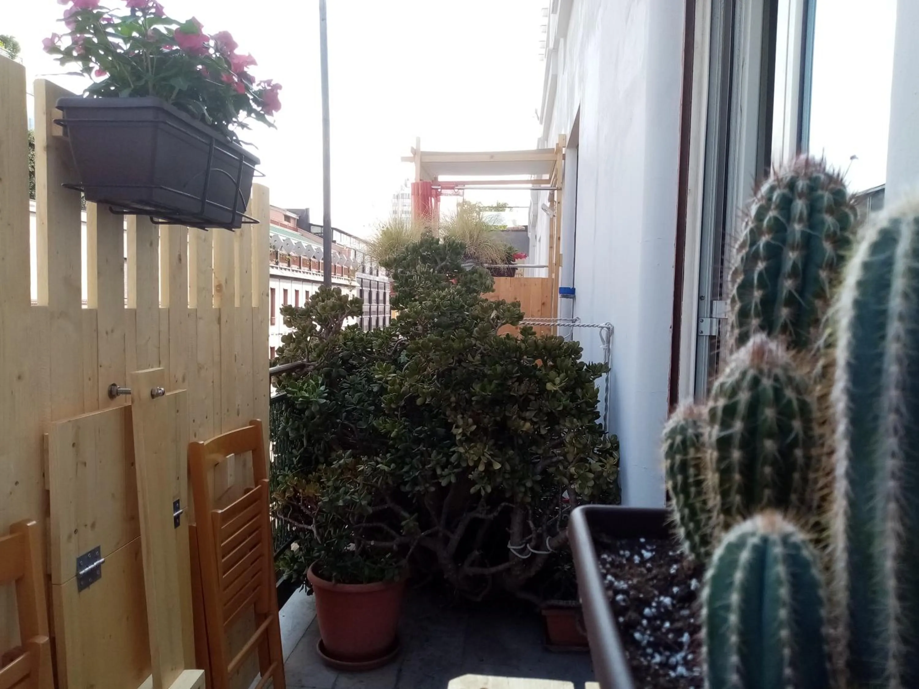 View (from property/room) in Ariston Petit Hotel