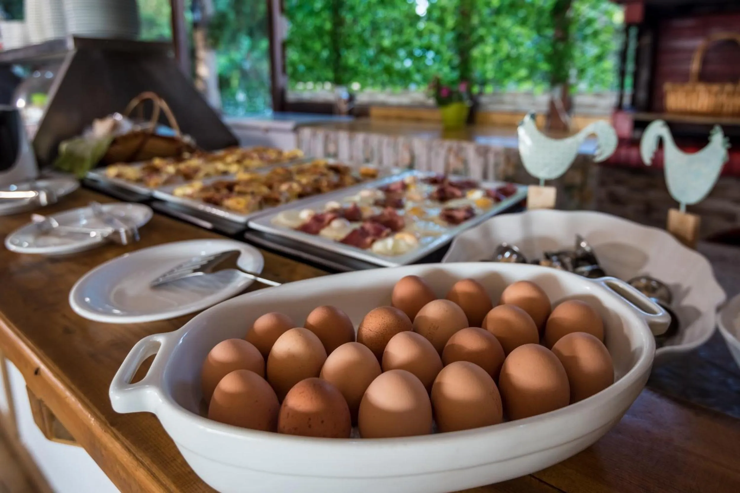 Food close-up in Sunny Days