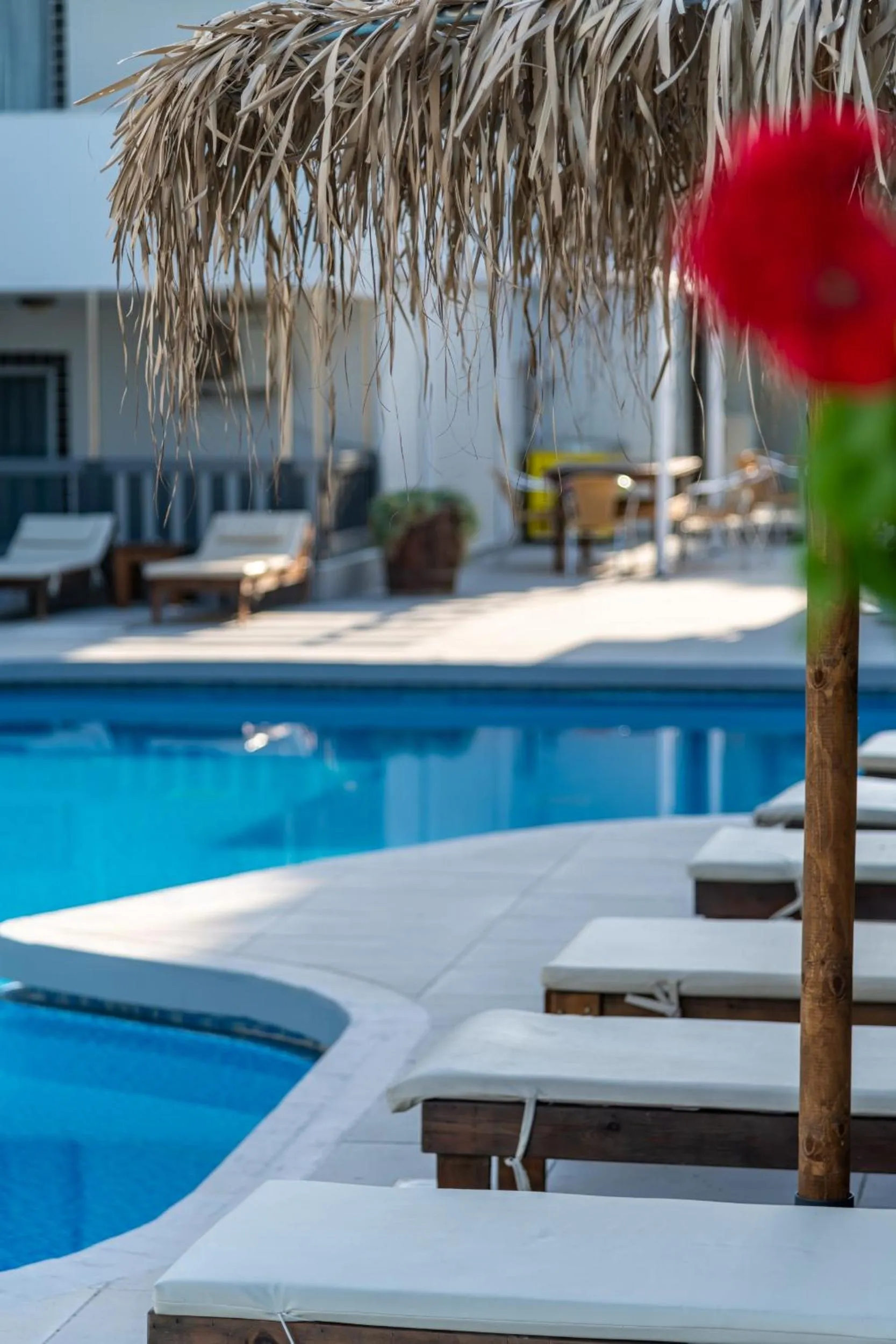 Swimming pool in Sunny Days
