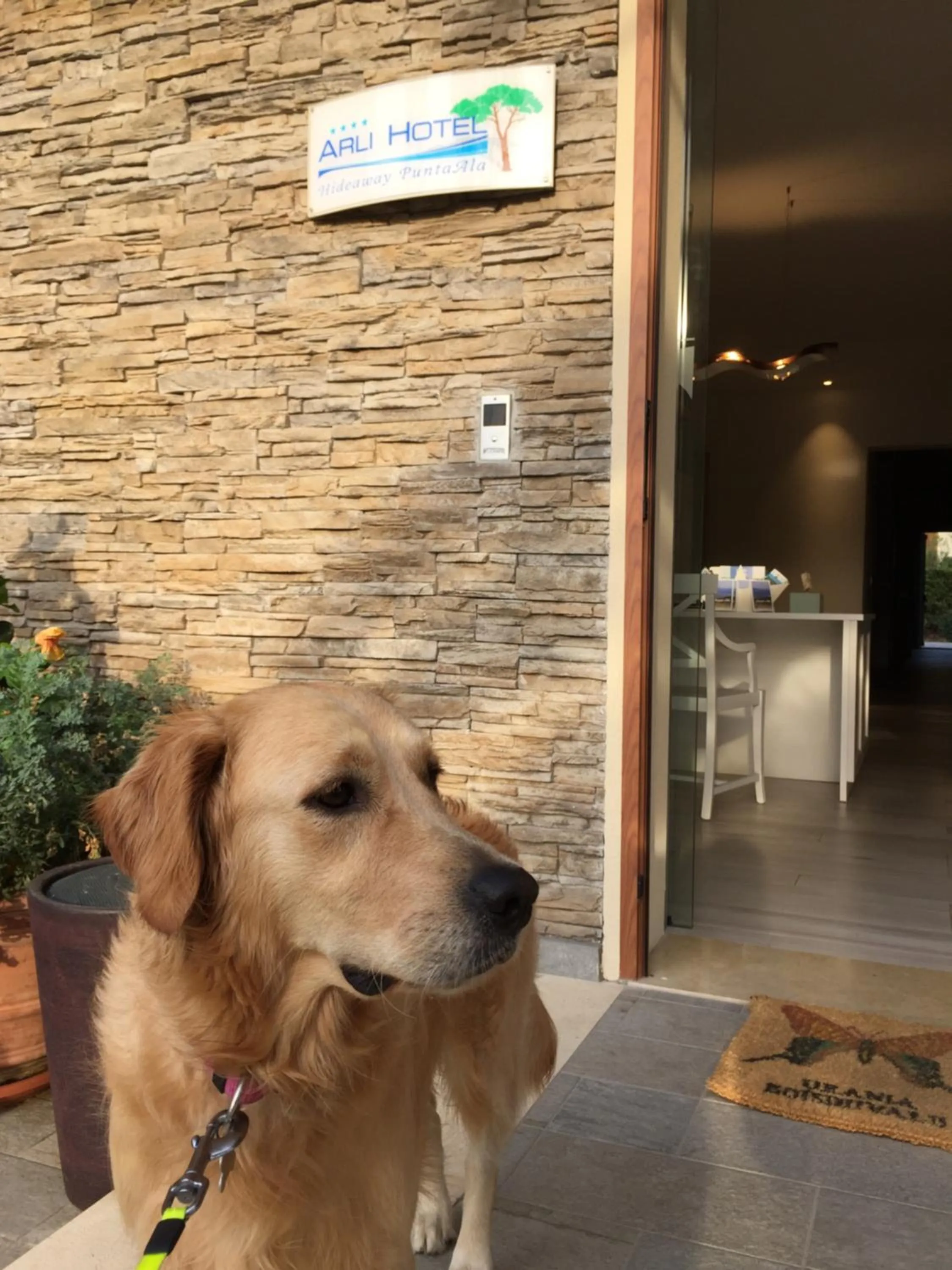 Arli Hotel Hideaway Punta Ala - Adults Only