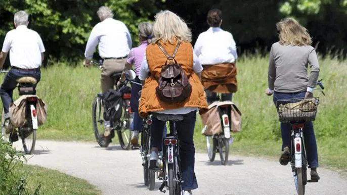 Cycling in Hotel Zum Goldenen Ochsen am Schlossgarten