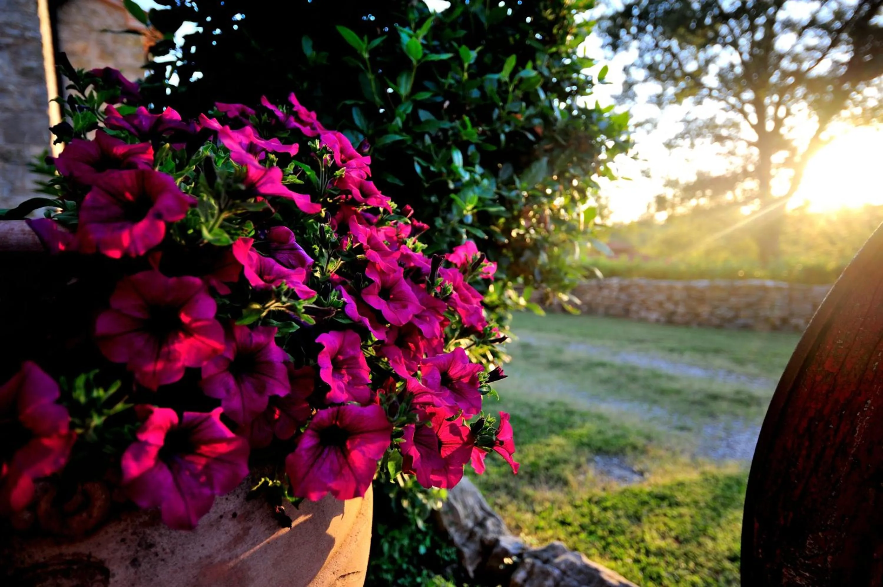 Day in Agriturismo I Monti