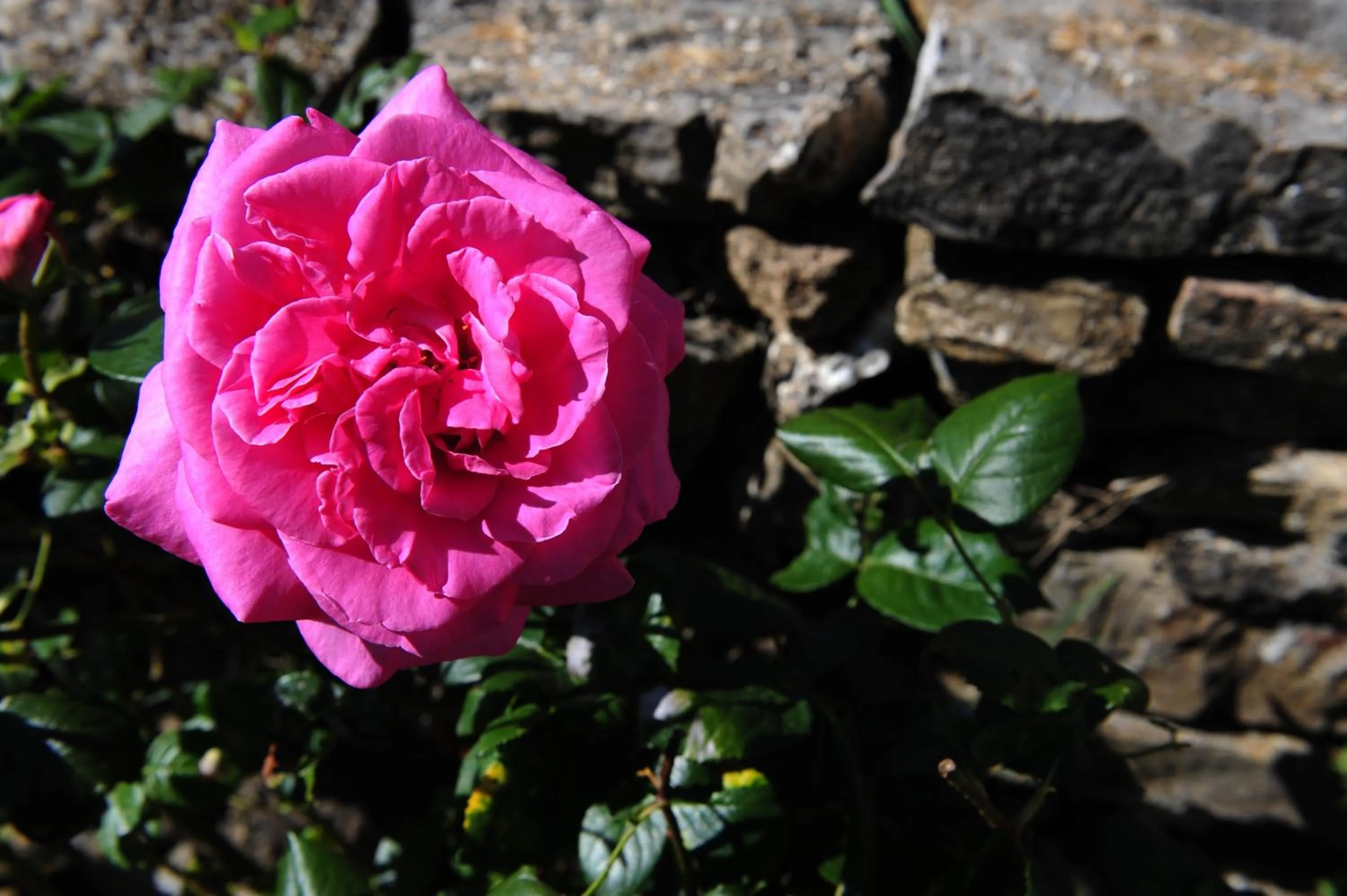 Other in Agriturismo I Monti