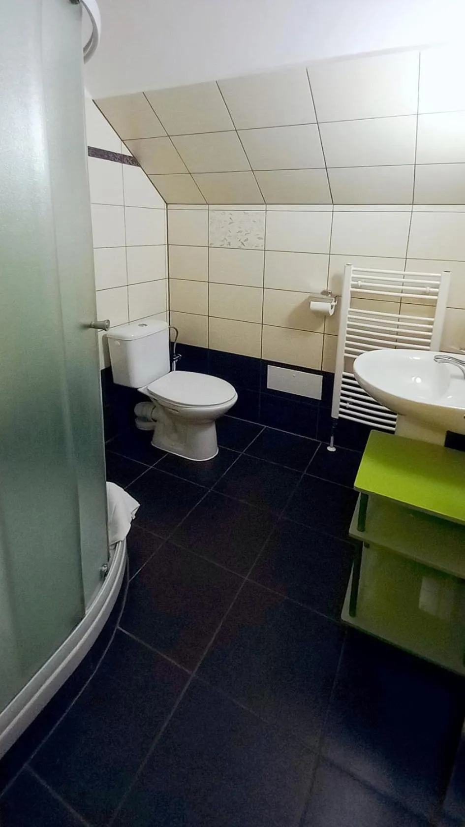Bathroom in Hotel Hradec