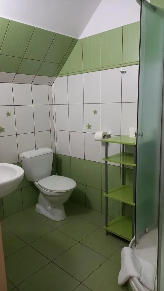 Bathroom in Hotel Hradec