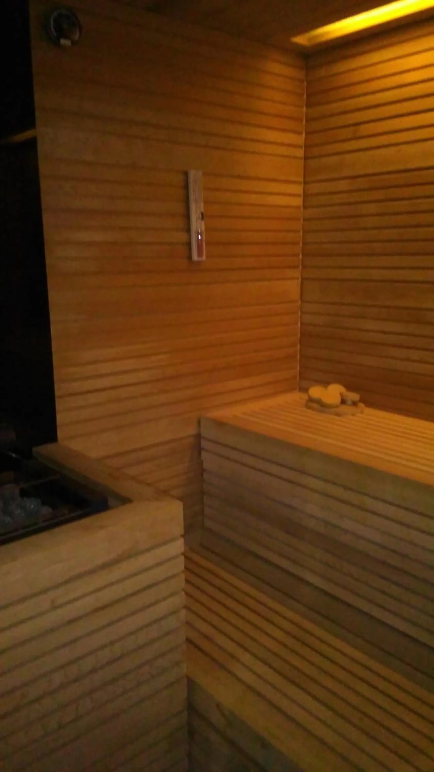 Sauna in Mountain Design Hotel Eden Selva